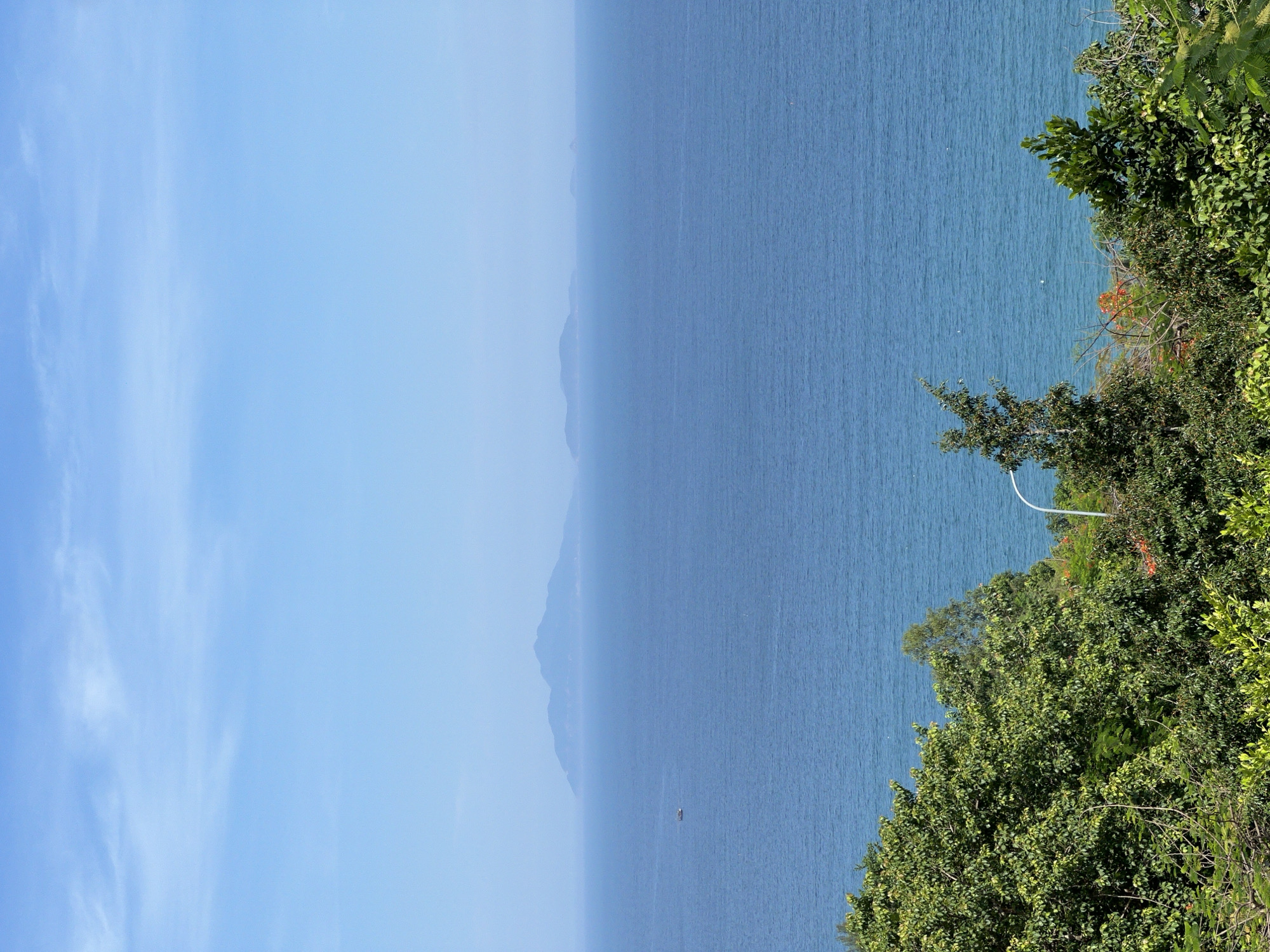 The image depicts a scenic view of the ocean from a hillside location in Đà Nẵng, Vietnam. In the foreground, lush green trees and foliage create a natural barrier, with a hint of red flowers interspersed among the leaves. A white lamppost is partially visible on the right side. Beyond the vegetation, the vast expanse of the blue ocean stretches to the horizon. A small boat is visible on the water in the mid-ground. In the far distance, several islands are silhouetted against the hazy sky. The sky itself is a clear, pale blue with faint white wisps of clouds.