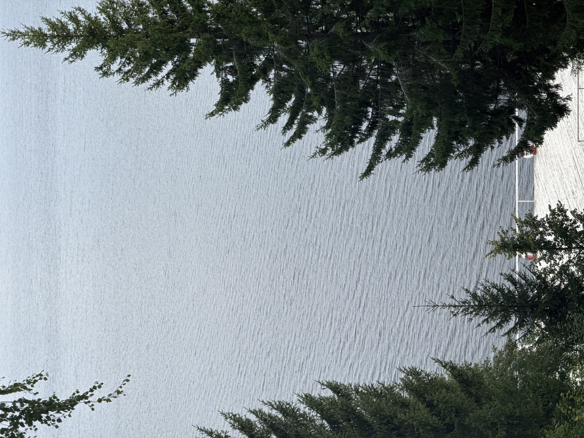 The image shows a body of water, likely a lake, with choppy surface texture under an overcast sky. In the foreground, on the right side, is the dense foliage of a large evergreen tree. On the left side, a branch with green leaves hangs down from the top. In the lower part of the image, a light-colored wooden deck is visible, featuring a white railing and a red life preserver ring. Several evergreen trees of varying sizes are positioned between the viewer and the deck. The location is described as Kanabekovo, Russia. There are no people visible in the image.