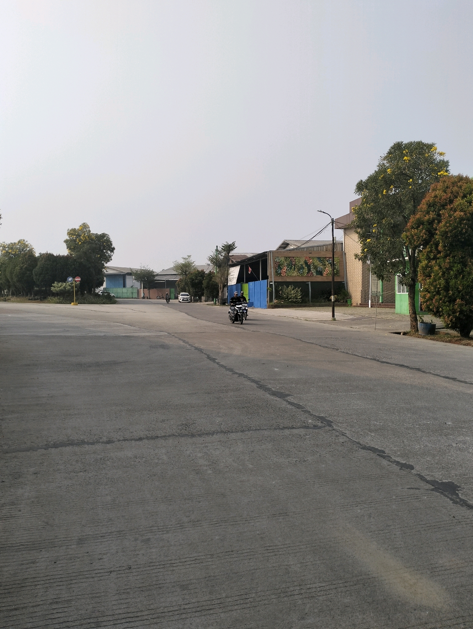 In Gunung Sindur, Indonesia, this image captures a wide, paved outdoor area, likely a road or parking lot, with a light gray asphalt surface. The sky is overcast and pale. On the left, there is a flat, expansive gray area. In the middle ground, a paved road runs diagonally from the lower right to the upper left of the frame. A person is riding a motorcycle on this road, heading towards the right. To the left of the road, there is a row of trees and several industrial-looking buildings. One building in the middle ground has a distinctive mural on its exterior. Further to the right, another building with a green facade is visible, and a large tree with yellow flowers stands prominently. The right side of the image shows more pavement and a dense evergreen tree.