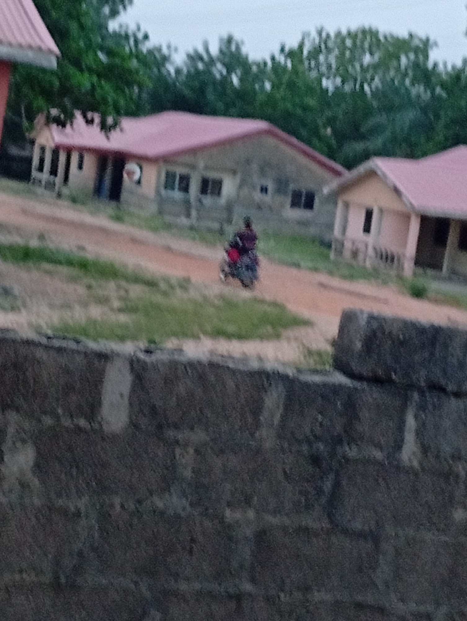 The image depicts a view of a scene in Adankolo, Nigeria. A dirt road winds past several single-story buildings with red roofs. A person rides a motorcycle along the road. A low concrete wall is in the foreground. Green trees are visible in the background.