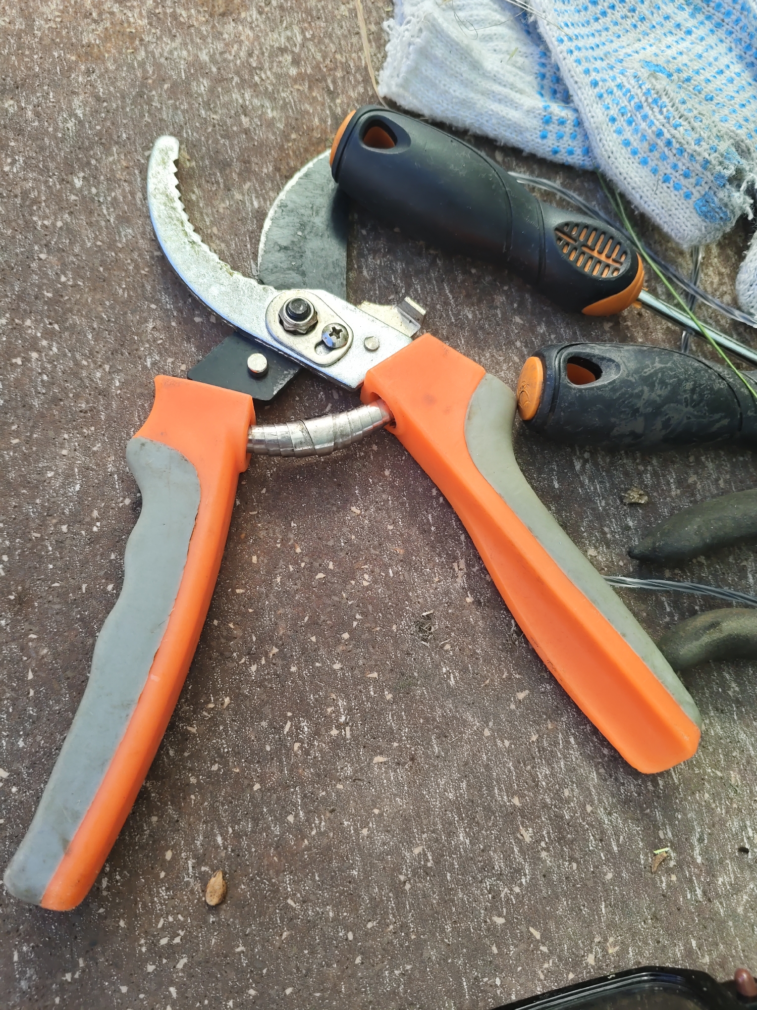 The image shows a pair of orange and gray pruning shears on a textured, concrete-like surface. The shears are open, with one blade showing signs of use. To the right of the shears, a pair of white and blue gardening gloves and what appear to be handles of other gardening tools are visible. The background is out of focus, but suggests an outdoor setting. There is no indication of the specific location in Rostov-on-Don, Russia, nor are there any people or interactions depicted.