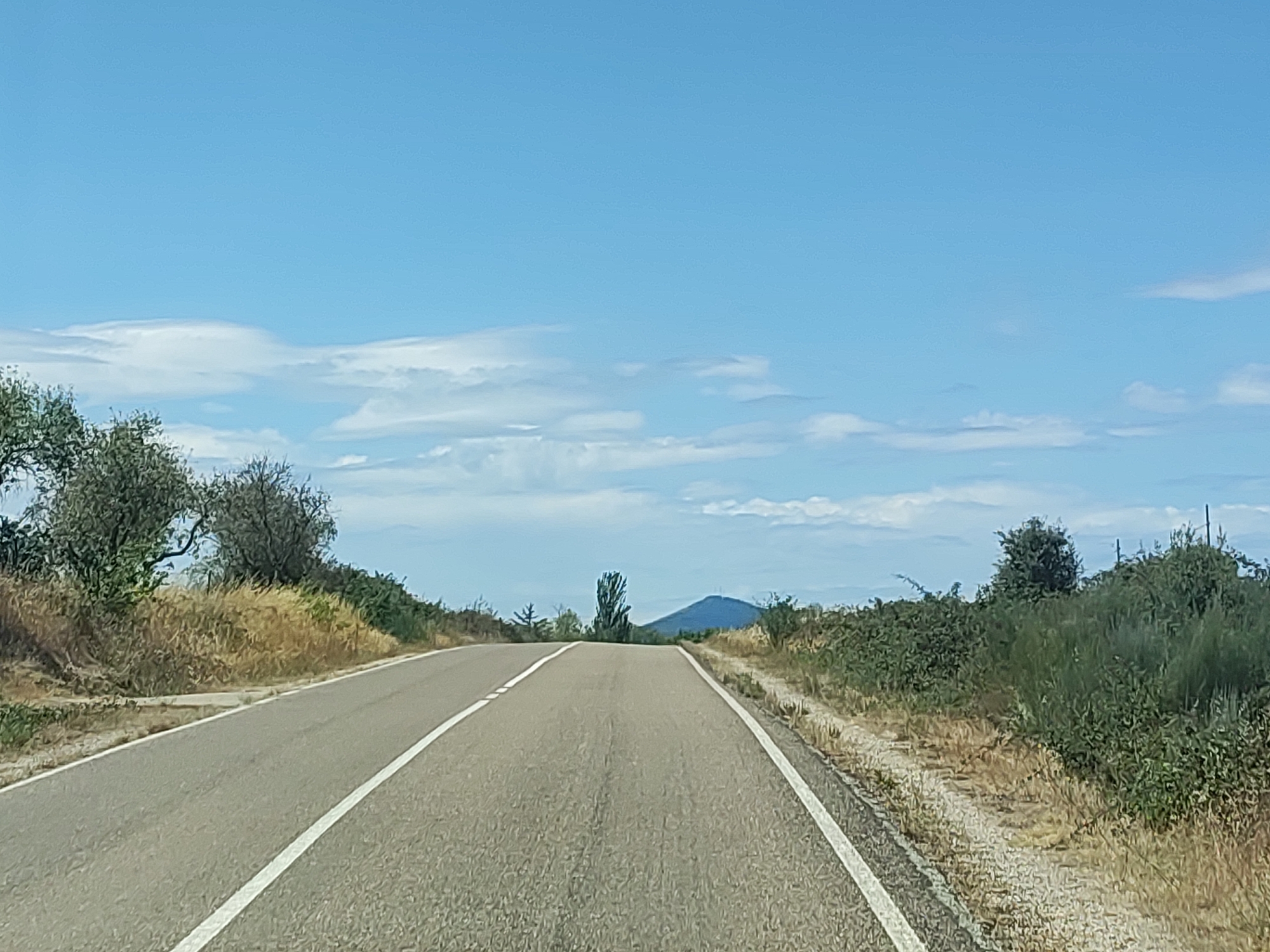 The image shows a straight, asphalt road with a white line down the center, extending into the distance. The road is bordered by dry, grassy terrain and dense green vegetation on both sides. In the background, a single, tall, slender tree stands in the middle of the road's path, with a conical hill or mountain visible beyond it. The sky is a clear blue with scattered white clouds. The scene appears to be a rural landscape in the vicinity of Sobradillo, Spain, likely taken from a moving vehicle.