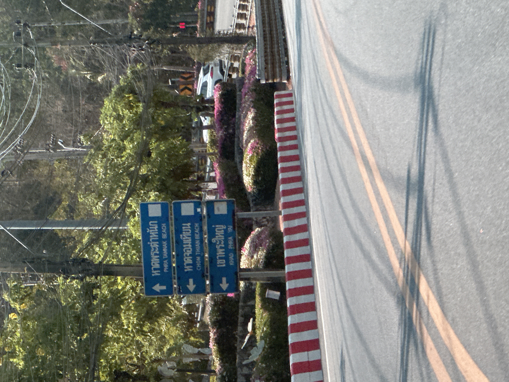 The image depicts a roadside scene in Pattaya City, Thailand. On the left side of the frame, road signs direct towards "Phra Tamnak Beach," "Chom Thian Beach," and "Khao Phra Yai." A red and white striped curb borders the right edge of the road. The road itself has double yellow lines. Shadows from overhead power lines cast across the road surface. Green foliage and flowering bushes are visible behind the road signs. In the background, there are additional vehicles and trees.