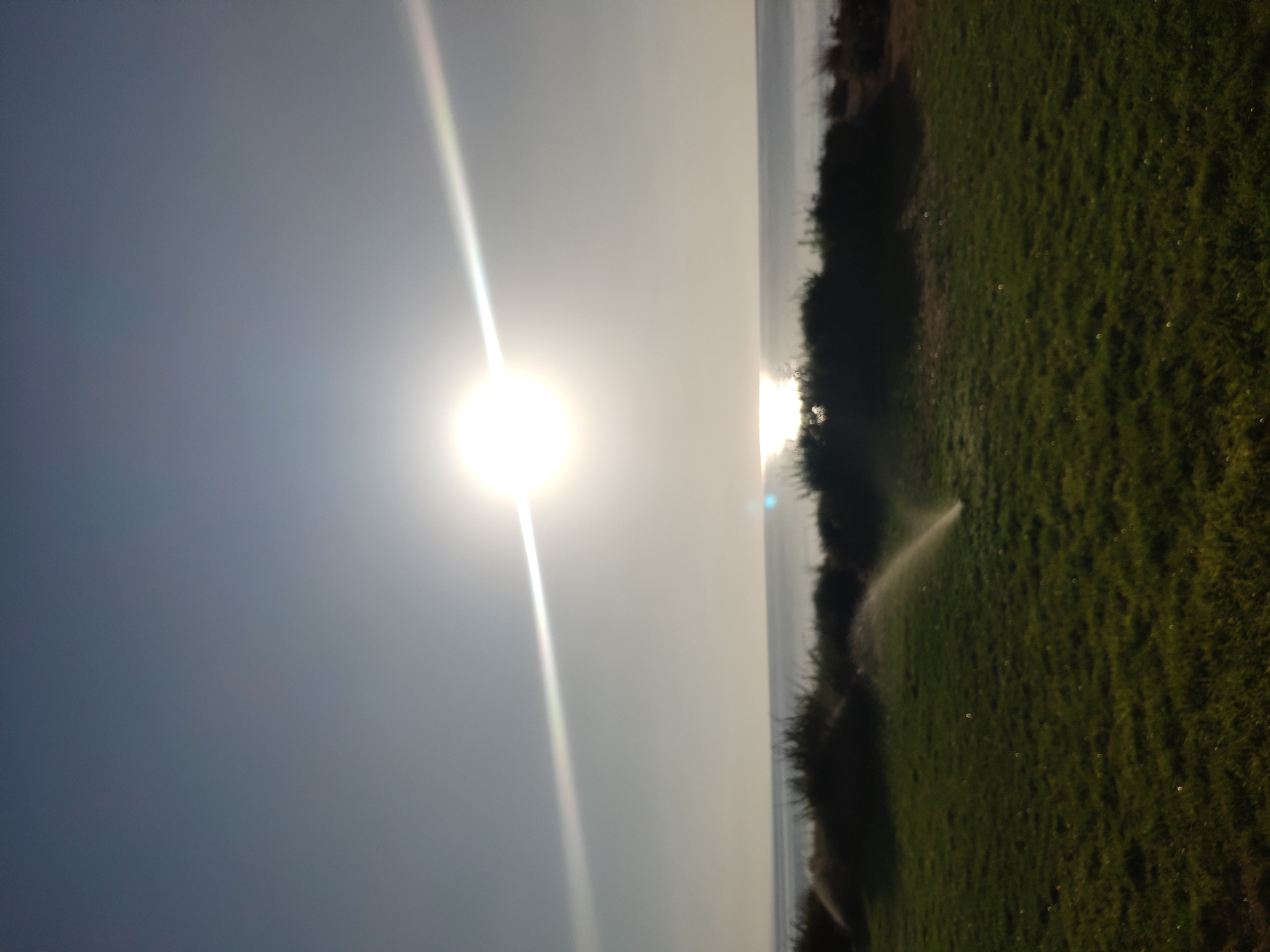 This image depicts a sun-drenched landscape with a bright sun positioned in the upper center of the frame, casting a glare across the sky and reflecting on the calm sea in the distance. In the foreground, a lush green lawn is visible, with several sprinklers in operation, emitting arcs of water. A line of dark, bushy vegetation runs along the horizon, separating the lawn from the sea. The sky is a pale blue, gradually fading to white near the sun. The overall impression is one of a serene, outdoor scene, possibly a park or a garden area in Trikomo, Northern Cyprus/Cyprus, enjoying a sunny day with the sea as a backdrop.
