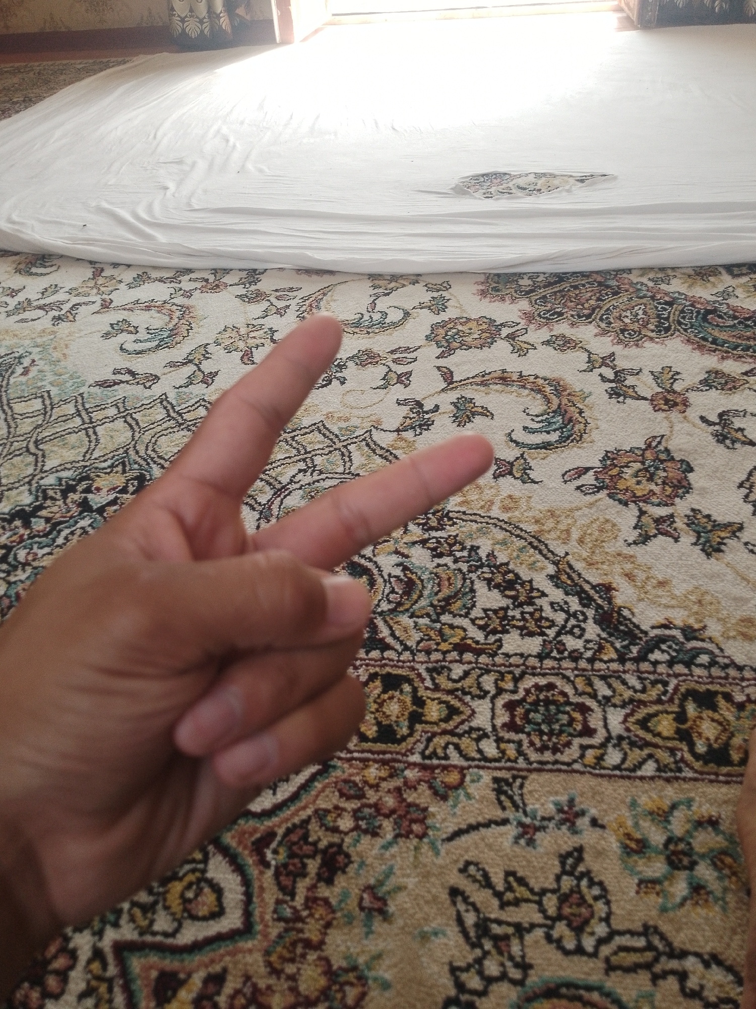 An overhead shot shows a person's hand, palm facing the camera, making a peace sign with their index and middle fingers extended, against a backdrop of a cream-colored rug with intricate floral patterns in red, blue, and gold. A crumpled white sheet is draped over a portion of the rug, obscuring some of its pattern, and a small hole is visible in the sheet. Sunlight streams in from the right, illuminating the sheet and casting shadows. The scene is set indoors, with hints of a wall and window coverings visible at the top of the frame.