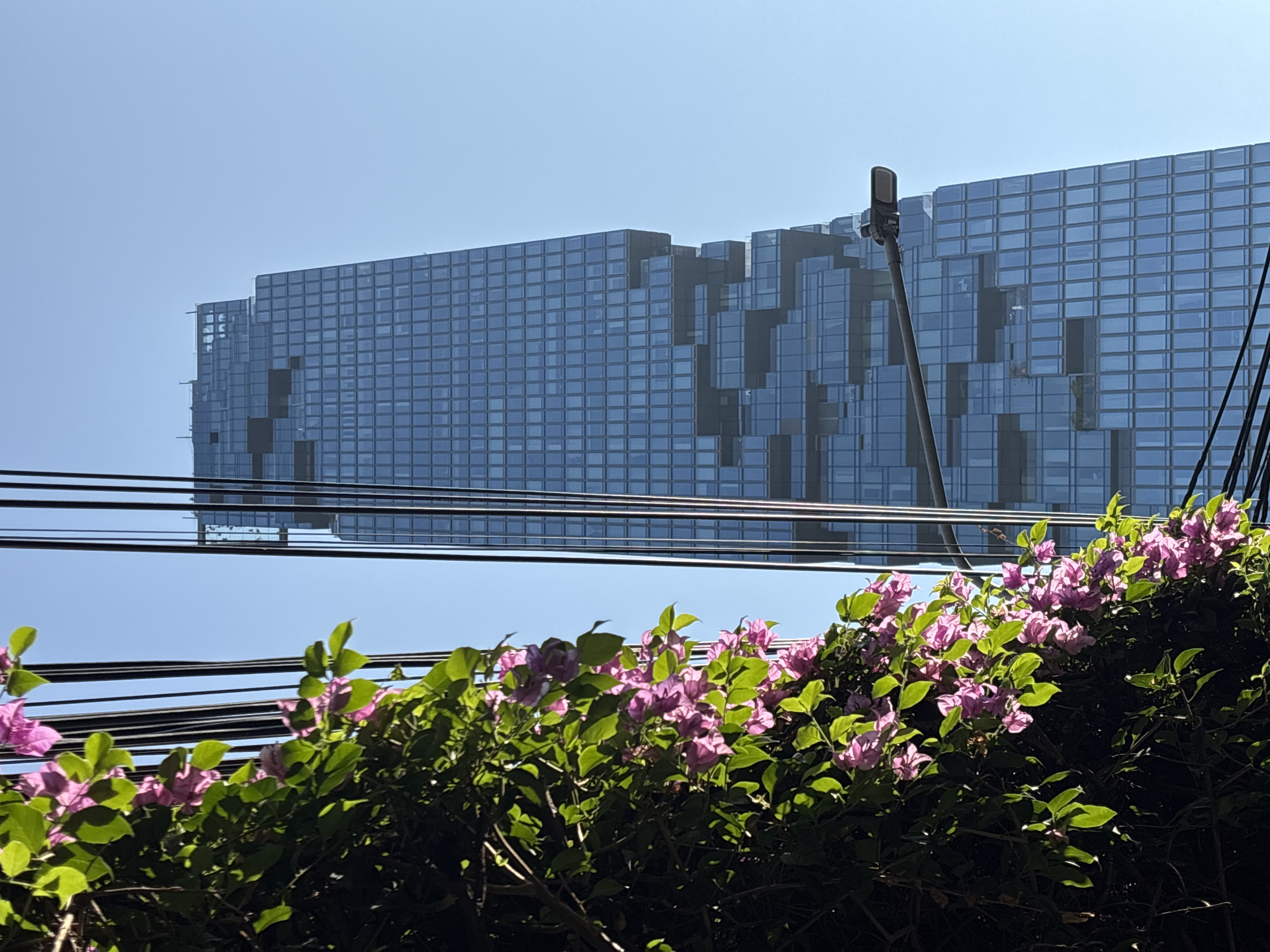 The image shows a view from a low angle in Bangkok, Thailand, looking up at a modern, high-rise building with a distinctive pixelated or stepped architectural design. The building has a facade of blue-tinted glass windows arranged in a grid pattern. In the foreground, a bush or hedge with bright pink bougainvillea flowers is present, partially obscuring the view. A series of black electrical or telephone wires run horizontally across the frame, intersecting both the flowers and the building. A street light is to the right of the building. The sky is a clear, light blue. The scene suggests an urban environment where nature and modern architecture coexist, with the bougainvillea adding a pop of color against the backdrop of the glass building and utility lines.