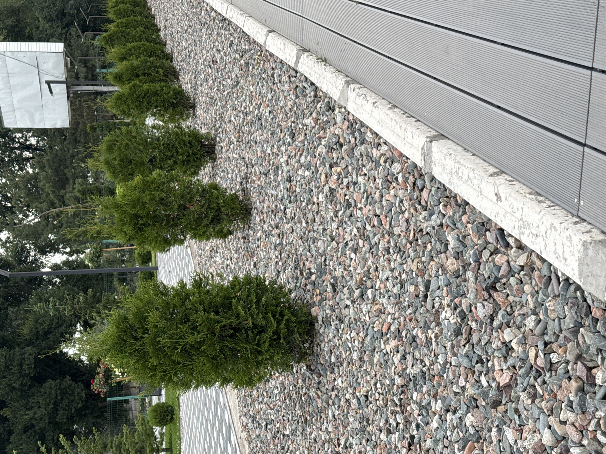 The image depicts an outdoor scene with a gravel pathway bordering a modern structure with a gray, ribbed surface, likely a deck or wall. A concrete curb separates the gravel from the structure. Several small, well-maintained evergreen trees are planted in a line along the gravel. In the background, there are more trees and a glimpse of a white structure with a dark frame, possibly a modern building or a sports facility. The overall impression is one of a landscaped outdoor area, likely a garden or yard, with a focus on clean lines and natural elements. The lighting suggests it is daytime, and the weather appears to be overcast or partly cloudy, as there are no harsh shadows. There is no visible text in the image.