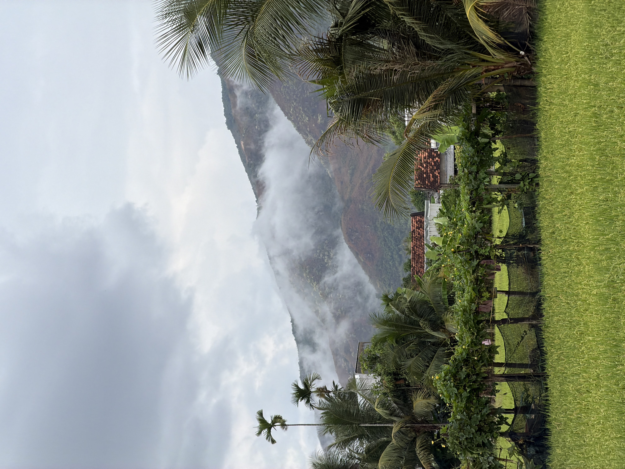 The image depicts a landscape in Diên Khánh, Vietnam, featuring a mountain range obscured by low-hanging clouds and mist. The foreground contains lush vegetation, including palm trees and a grassy field. A fence with climbing plants separates the field from the trees. A building with a red tile roof is partially visible behind the vegetation. The sky is overcast with gray clouds.