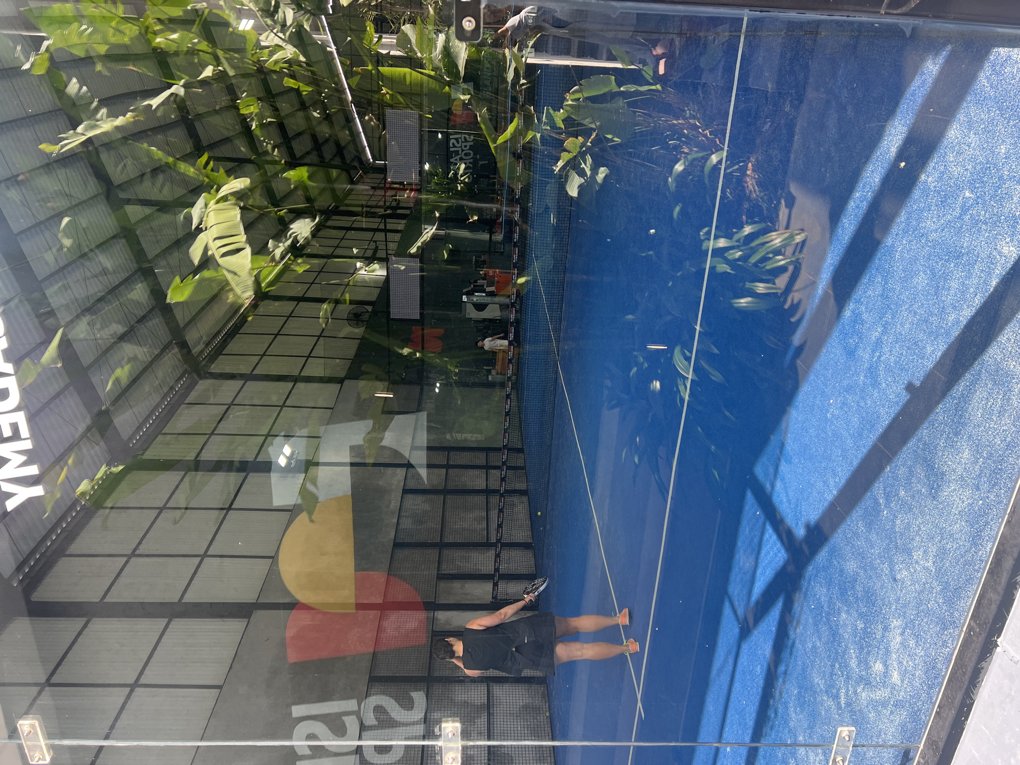 The image captures an indoor padel court in North Kuta, Indonesia, viewed through a glass enclosure that reflects the surrounding environment. A woman in a black athletic outfit, including a skirt and a sleeveless top, stands on the vibrant blue court, holding a padel racket in her right hand. She is facing away from the camera, towards the opposite end of the court. The court is marked with white lines, and several padel balls are visible on the blue surface.
The interior of the court features a metal-framed roof structure and walls adorned with graphics, including what appears to be a logo with red and yellow semi-circular shapes and white lettering. In the background, other individuals can be seen on the court, and some are standing near a concession area or reception desk. Large tropical plants with broad green leaves are situated outside the court, their reflections prominent on the glass. The overall impression is a well-lit, modern sports facility designed for playing padel.