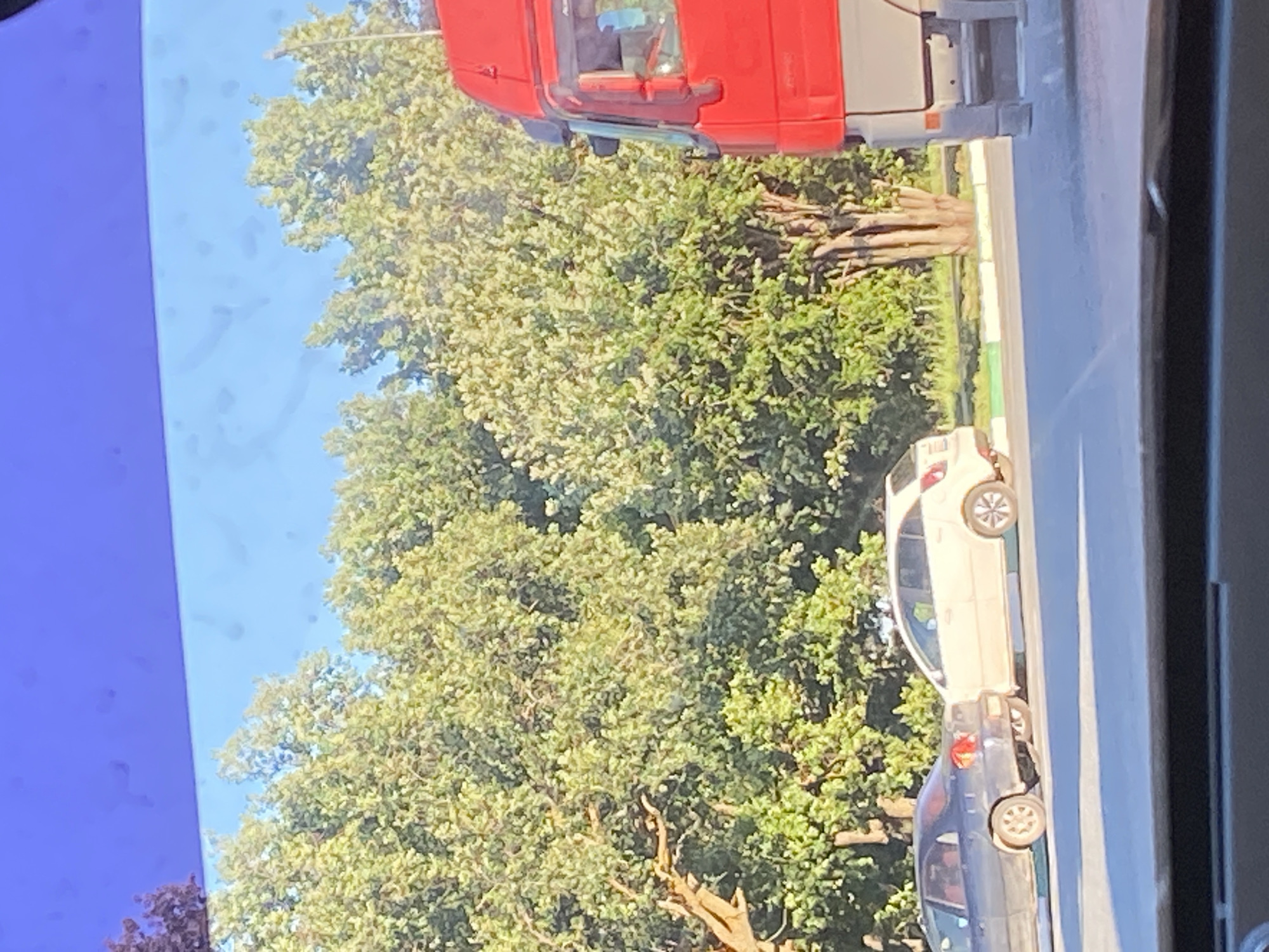 The media file shows a street scene in Yekaterinovka, Russia, likely during daylight. The image is oriented vertically, suggesting it was captured from a slightly elevated perspective or the device was held sideways.
In the foreground, a bright red truck is partially visible at the top. Below the truck, a dense canopy of green trees dominates the left side of the frame, indicating a leafy, possibly summer or early autumn setting. The sky above is a clear, light blue with some subtle imperfections.
To the right of the trees, a paved road is visible. Parked on the road are two cars. The upper car is a light-colored hatchback, possibly white or beige, with its rear end facing towards the viewer. Below it, a darker colored car, possibly dark blue or black, is also parked. Both cars have their wheels visible, and their general shapes suggest modern passenger vehicles.
The immediate area around the cars appears to be a roadside. There is a thin strip of green and white border between the road and what seems to be a grassy verge or sidewalk. In the middle ground, behind the parked cars and to the right of the trees, there is a pile of logs or thick branches, suggesting recent activity such as logging or landscaping.
No people are clearly visible in the image. The overall impression is a quiet street with parked cars adjacent to a verdant natural area. The lighting suggests it's daytime, and the clear sky hints at fair weather. No text is discernible in the image.