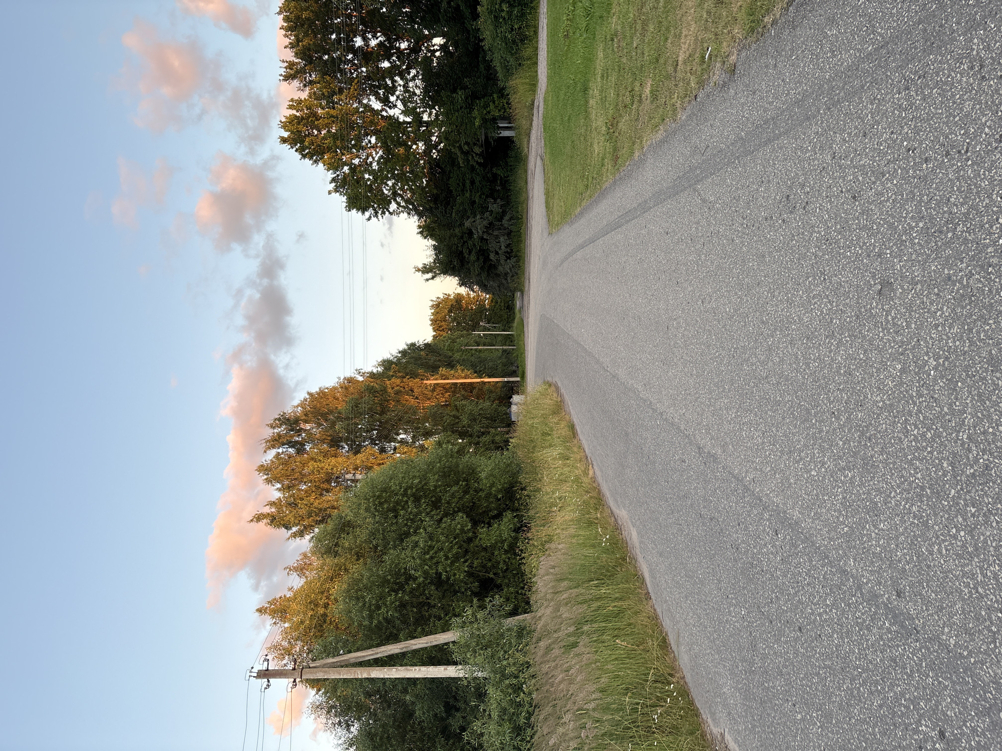 The image depicts a rural road intersection in the village council of Vidzy, Belarus, during what appears to be late afternoon or early evening. The sky is a pale blue with scattered clouds tinged with pink and orange from the setting sun. Tall trees with dense green foliage line both sides of the road, with some trees on the left illuminated by golden sunlight. A concrete utility pole with electrical wires stands prominently on the left side of the road, near a field of tall, dry grass and some wildflowers. The road surface is asphalt, showing tire tracks in some areas. The intersection features a clear division of the road, with one path curving to the left and another continuing straight and then turning right. On the right side of the road, a patch of neatly trimmed green grass is visible. In the background, more trees and a small, weathered structure are partially obscured by foliage. No people are present in the scene.