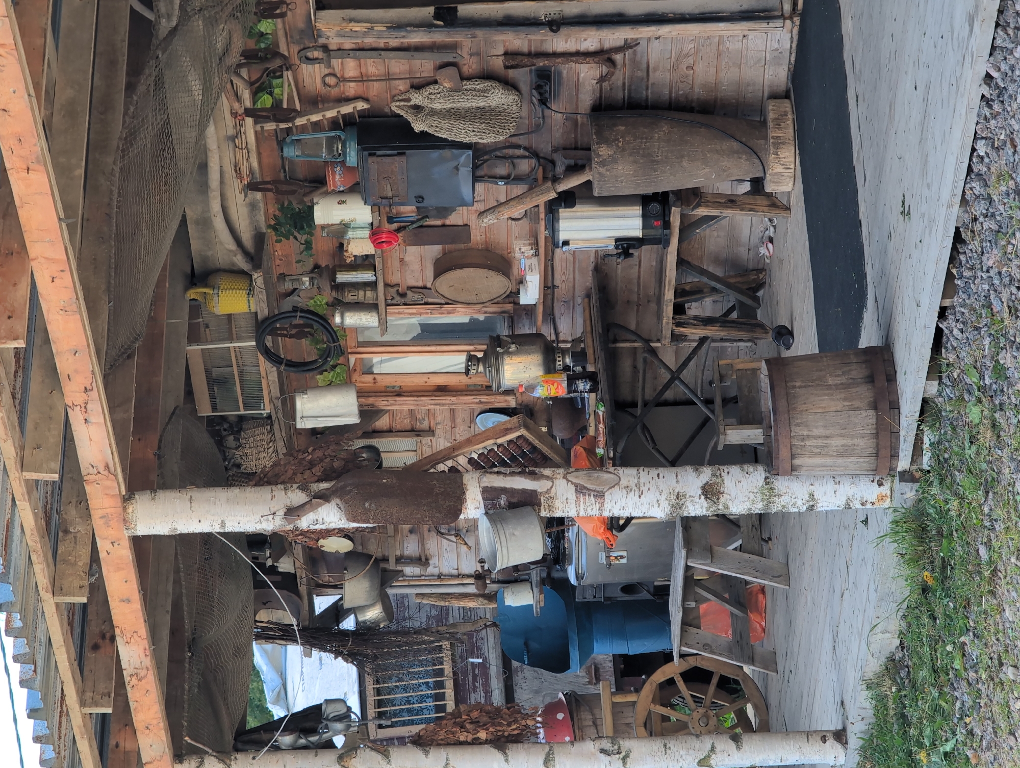 The image depicts an outdoor covered area adjacent to a wooden building, possibly a shed or storage area, in Novoe Devyatkino, Russia. The scene is cluttered with various rustic objects, suggesting a collection of farm or household implements. In the foreground, a wooden deck leads to the covered area. A large wooden wagon wheel is visible on the left, and to its right, a rough wooden bench. A blue basin rests on a stand. A large metal container and a small refrigerator are also present. Hanging from the ceiling and walls are numerous items, including pots, pans, baskets, lanterns, and tools. Two birch trees serve as structural supports for the covered roof. In the center, a wooden table holds a samovar and a modern electric kettle. To the right, a large wooden mortar stands beside the kettle. The building's exterior is constructed of horizontal wooden planks. The overall impression is one of a storage space filled with antique or rustic items, possibly related to traditional Russian life or a dacha. There are no people visible in the image.