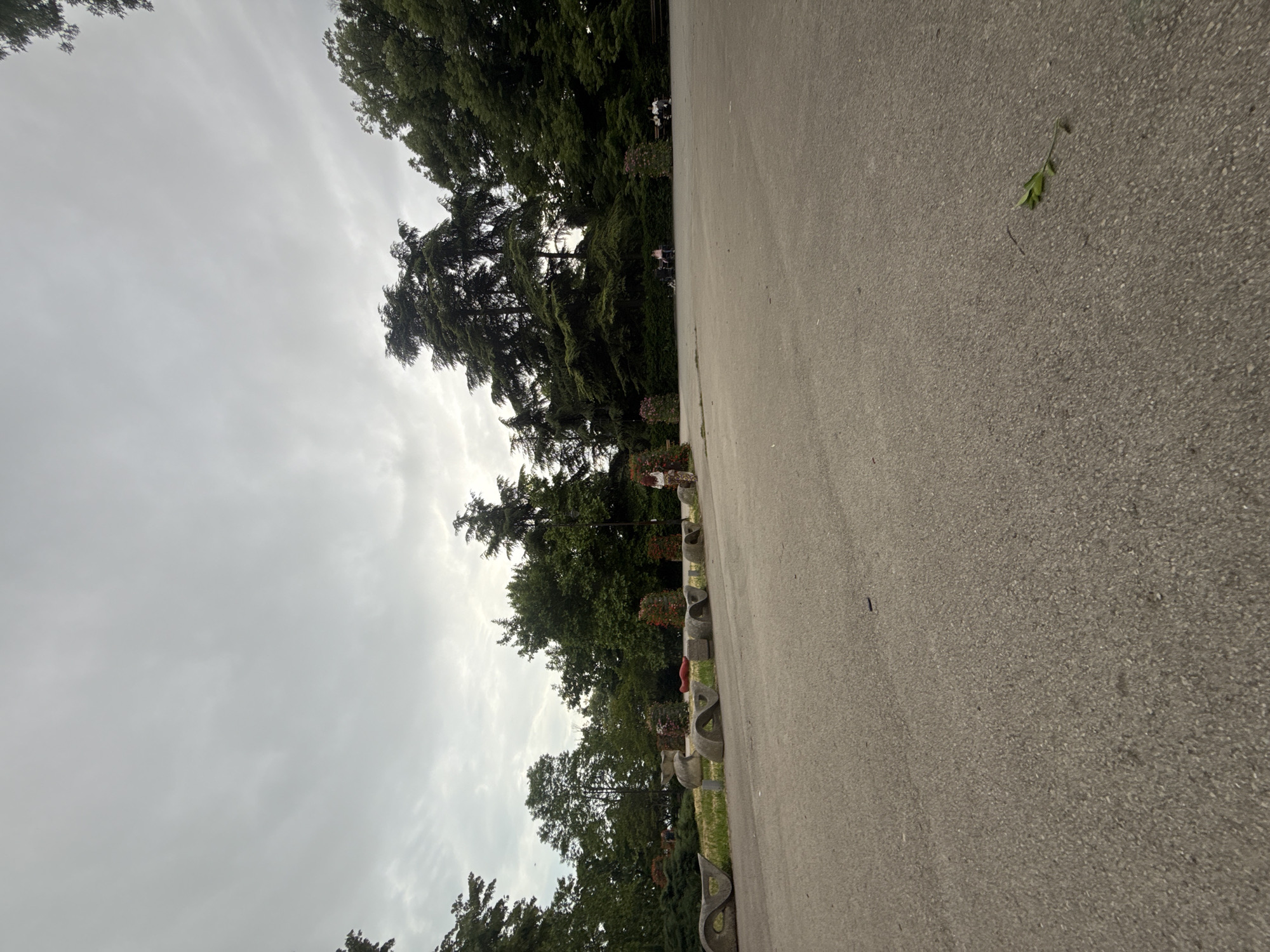 The image displays an outdoor scene, likely a public park or esplanade in Varna, Bulgaria, on an overcast day. The foreground and midground are dominated by a wide, textured grey asphalt or concrete path. On the right side of this paved area, a line of unique, light-colored concrete planters or sculptural benches with abstract, wavy designs are visible. Some of these planters contain flowering plants with red, pink, and orange blooms.
Behind these decorative elements, a dense line of tall, dark green trees forms the background, suggesting a wooded area or a large park. The sky is largely overcast, with varying shades of light grey and subtle cloud formations, indicating a cloudy daytime.
Several people are present within the scene, though their activities are not clearly discernible due to distance. Two individuals are seated on one of the low concrete structures among the trees. Further along the treeline, another person in a light-colored top is visible near the planters. A single green leaf rests on the paved surface in the immediate foreground. No visible text is present. The overall atmosphere appears calm and unhurried.