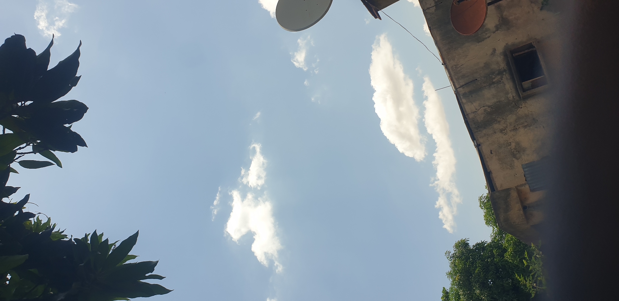 The image displays an upward-angled view of a daytime scene in the city of Sabon Tasha, Nigeria. The upper two-thirds of the frame consists of a clear, light blue sky featuring scattered, bright white cumulus clouds. Dark green foliage from an overhead tree canopy frames the top left and right corners, appearing as silhouetted masses against the sky. Additional green vegetation is visible along the lower left edge.
Below the sky and vegetation is a section of a building. The building wall is a light, possibly cream or tan, color, exhibiting extensive weathering and visible cracks, particularly across its upper section. A dark, rectangular opening, resembling a window frame or recessed area, is visible on the building's right side. A corrugated metal sheet is affixed to the lower left portion of the visible wall. Two satellite dishes are present on the right side of the frame. A large, circular white satellite dish is partially visible at the upper right, mounted above the building's main structure. A smaller, reddish-brown circular satellite dish is affixed directly to the building wall on the lower right. A thin, dark wire or cable extends horizontally across the upper part of the building wall. The very bottom of the image is obscured by a dark, out-of-focus element, preventing visibility of the immediate foreground. No individuals or discernible activities are depicted.