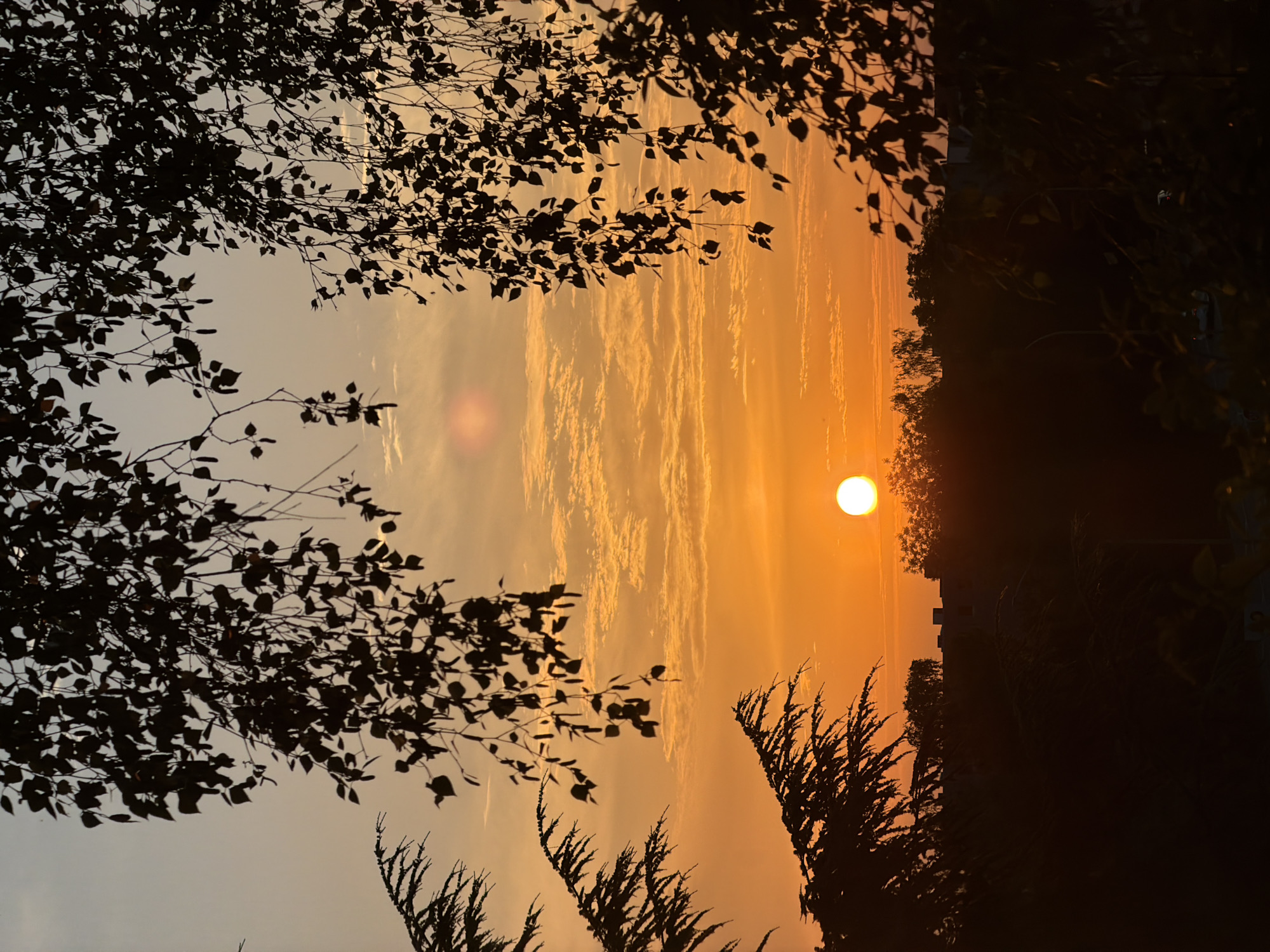 The image shows a sunset in Leudelange, Luxembourg. The sun is a bright orange orb low in the sky, casting a warm glow over the scene. The sky is filled with streaks of orange and yellow clouds. Silhouettes of trees and buildings are visible in the foreground, with branches and leaves from trees framing the top and sides of the image. The scene appears to be an outdoor shot, possibly from a residential area, given the presence of buildings and trees. The overall mood is serene and peaceful, capturing the beauty of the end of the day.