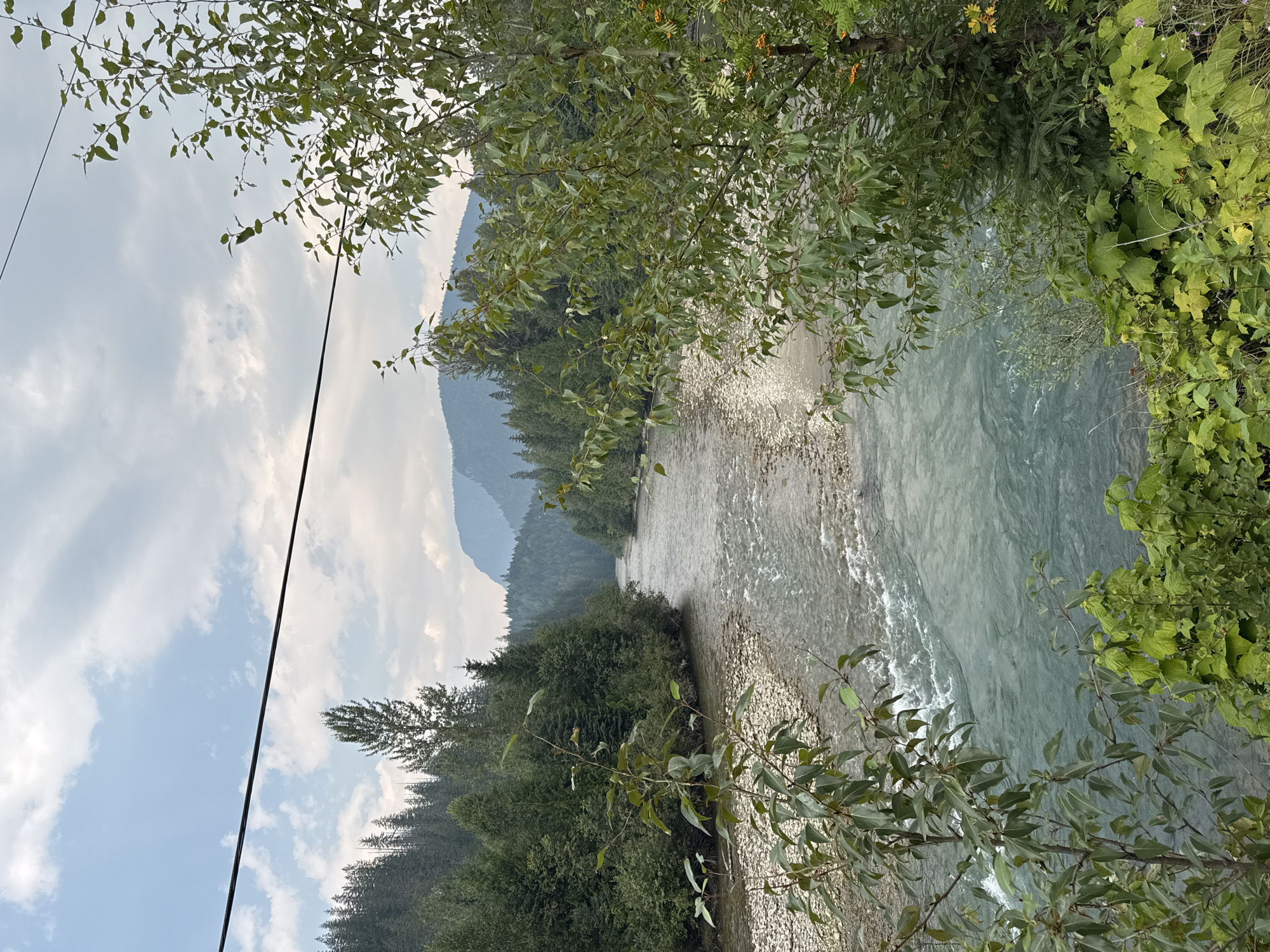 The image captures a wide, flowing river with a rocky shore, bordered by dense evergreen forests and lush vegetation. In the foreground, branches of deciduous trees with green leaves frame the scene, with a few clusters of small orange berries visible on the right. The river itself is a clear, turquoise-blue, with visible ripples and currents indicating a moderate flow. The riverbanks are lined with rounded stones, and further back, a dense forest of tall evergreen trees stretches up the slopes of distant mountains. The sky above is partly cloudy with a hazy quality, suggesting potential smoke in the atmosphere. A dark, thin line, possibly a power line or cable, traverses the upper portion of the image horizontally. The overall impression is one of a natural, serene, and remote landscape. This scene is consistent with the natural environment found along the Columbia River near Revelstoke, Canada.