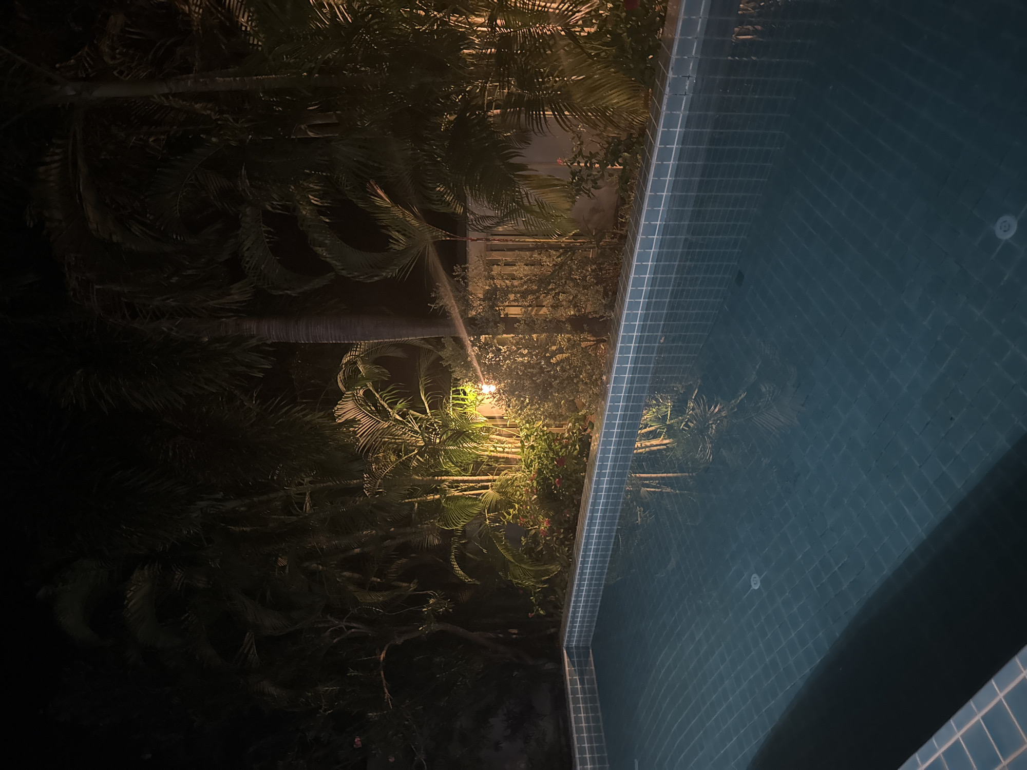 An outdoor swimming pool is situated in a tropical garden at night. The pool has blue tiled edges and the water is clear, reflecting the surrounding foliage and a lamp that illuminates a portion of the garden. Palm trees and other lush vegetation are visible, with some plants bearing small red flowers. A light fixture hangs from a branch, casting a warm glow on the scene. The overall atmosphere is serene and tranquil, suggesting a private residence or resort.