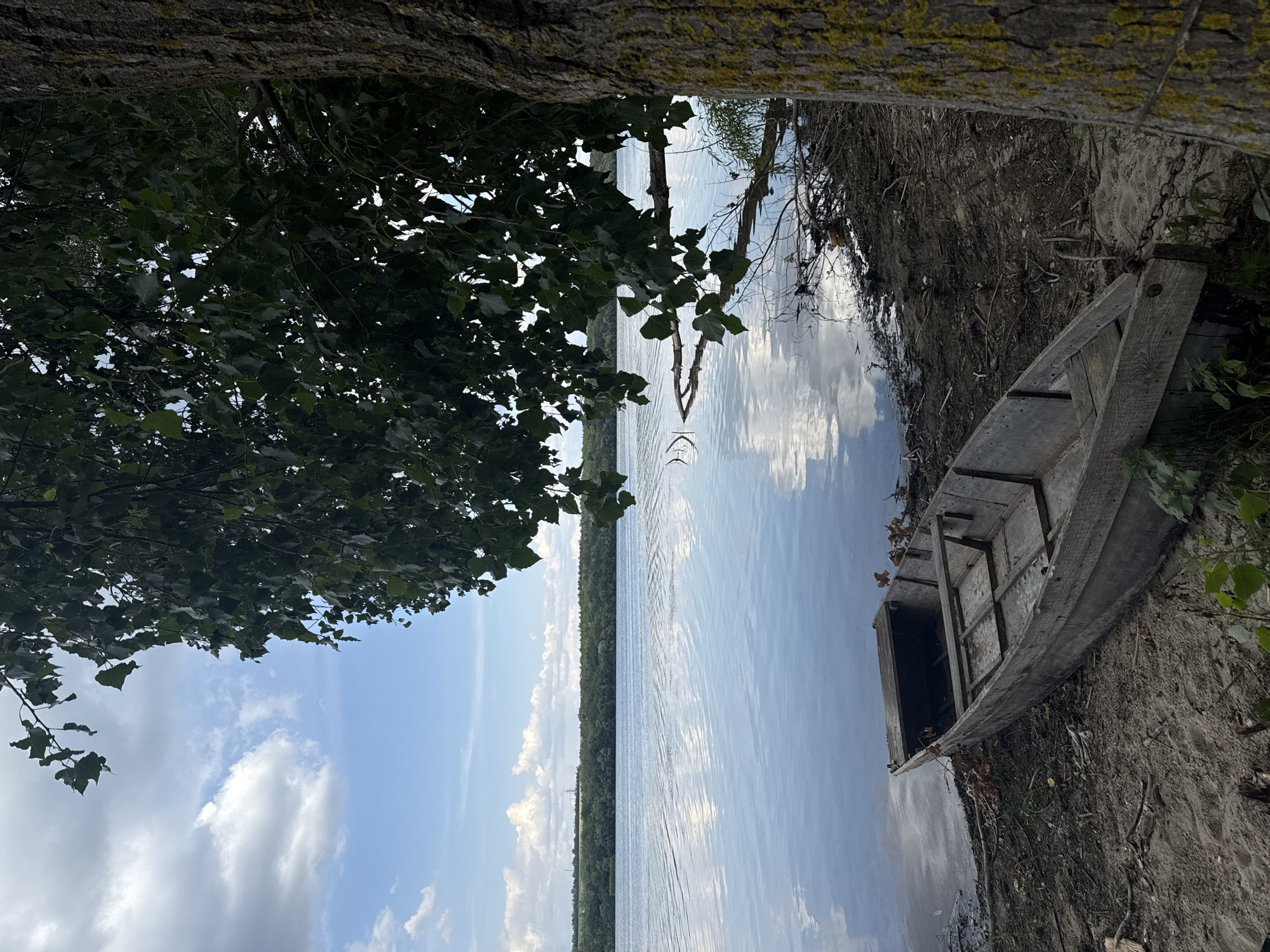 The image depicts a serene lakeside scene in Oxentea, Moldova. In the foreground, an old, weathered wooden boat rests on a sandy shore, partially covered by sparse vegetation and debris. Its interior is empty and shows signs of age. A thick tree trunk with textured bark, partially covered in moss, stands to the right, its branches with dark green leaves arching over the scene. The lake stretches out to the horizon, its surface reflecting the blue sky and scattered white clouds. The far bank of the lake is lined with a dense forest, and a faint silhouette of trees and vegetation can be seen against the horizon. The overall atmosphere is one of quiet solitude and natural beauty.
