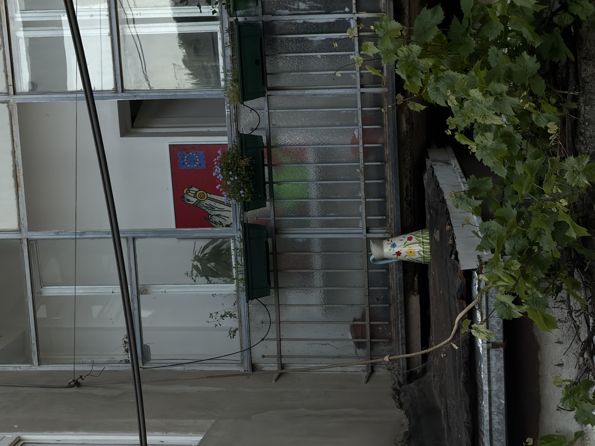 A tilted perspective of an urban scene in Vracar Urban Municipality, Serbia. The image focuses on a building facade with a metal-framed window grid, featuring plants and flowers in window boxes. One window has a depiction with European Union flag imagery, in red and blue. A patterned mug is mounted on an exterior wall. Vines and foliage surround the window. The building itself appears aged, with visible wear on the facade. Metal poles are visible in the foreground.