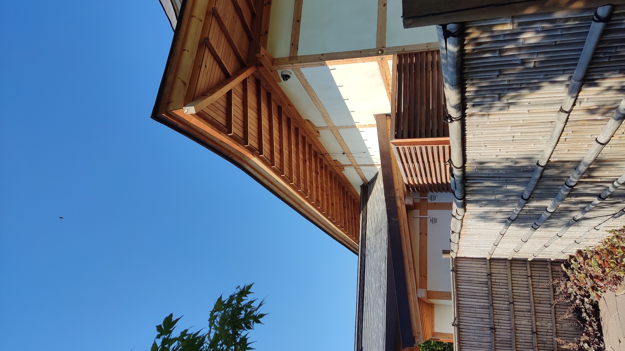 The image captures an exterior view of a building with traditional Japanese architectural elements, featuring a wooden roof with exposed beams, white walls with wooden cross-beams, and a bamboo fence in the foreground. The sky is clear and blue, with a small dark object, possibly a bird or insect, visible in the upper portion of the frame. The scene appears to be in a well-maintained outdoor area, possibly a garden or courtyard, with some foliage visible to the left of the bamboo fence. The lighting suggests it is daytime, with the sun casting shadows. The location is identified as the city of Krasnodar, Russia.