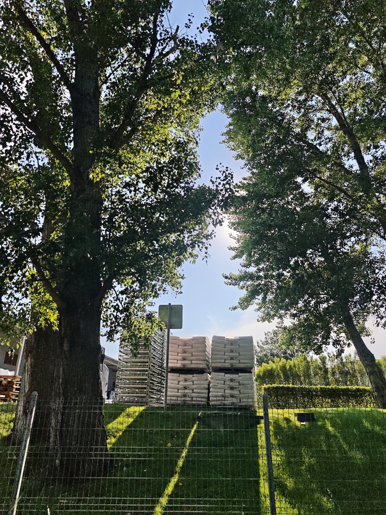 The image depicts an outdoor scene with two large trees framing a view of stacked sacks and a storage structure. The trees, with their dense green foliage, are on the left and right sides of the frame, with sunlight filtering through their leaves. In the middle ground, there are several stacks of what appear to be sacks of material, possibly cement or gravel, arranged on pallets. Behind the sacks, a metal racking system is visible, suggesting a storage or inventory area. A green sign is mounted on a post to the left of the sacks. The foreground features a wire mesh fence running horizontally across the image, with a grassy slope behind it. The sky is a clear blue with some scattered sunlight. The scene appears to be in a semi-industrial or commercial area, likely on the outskirts of a city, given the presence of storage and materials. However, there is no visual information in the image that would specifically place it in Tbilisi, Georgia.