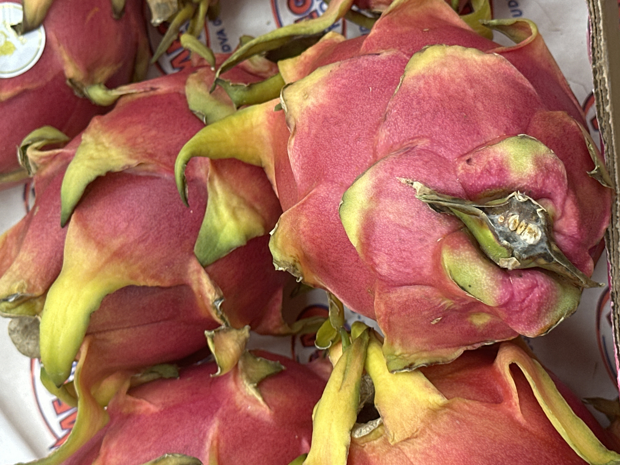The image depicts a close-up of several dragon fruits. They are predominantly pink with green and yellow tips on their outer layers. The fruits appear to be within a container, possibly a cardboard box, evidenced by the visible edges of what seems to be packaging material. The overall impression is of a commercial setting, such as a market or shop. There is no evidence in the image to place it in Budva, Montenegro, or any other specific location.