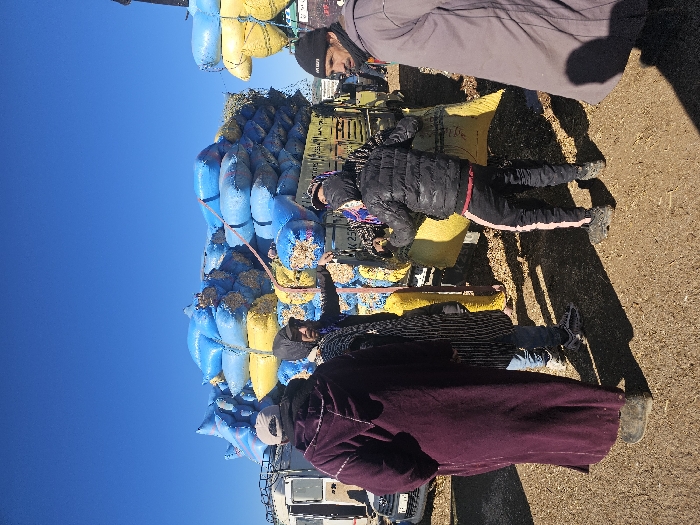 The scene depicts an outdoor market or loading area in Azrou, Morocco, under a clear blue sky. The ground is dry, reddish-brown dirt. In the foreground and mid-ground, five men are present, engaged around a heavily loaded utility truck.
The central subject is a dark-colored utility truck, possibly a pickup, overloaded with numerous large woven sacks. The sacks are predominantly bright blue, interspersed with several bright yellow sacks. They are stacked high and secured with visible straps or ropes. The contents of some open sacks appear to be small, light-brown, granular items, possibly nuts or dried legumes. A partial registration or designation "K250" is visible on the truck's side. Behind this truck, on the left, a portion of a white utility vehicle, possibly a camper van or large SUV with a roof rack, is visible.
Regarding the individuals:
1. **Foreground Left:** A man stands with his back to the viewer, wearing a dark burgundy djellaba and a light-colored cap. He is wearing dark, rugged footwear.
2. **Mid-ground Left-Center:** A man in a dark hooded garment and a patterned scarf covering part of his face stands facing right. He wears blue jeans and white athletic shoes and appears to be gesturing towards the truck or its contents with his right hand.
3. **Mid-ground Center-Right:** A younger individual, facing the truck, wears a black puffer jacket, black sweatpants with a pink side stripe, and dark, possibly rubberized, clogs. This person is actively engaging with a large yellow sack, seemingly adjusting or handling it.
4. **Foreground Right:** A man is partially visible, facing slightly right, wearing a light brown or grey djellaba and a dark beanie. He has a beard and mustache.
5. **Background Right:** Another man is partially visible behind the truck, indistinctly interacting with the cargo.
Long shadows cast on the ground suggest either early morning or late afternoon sun. The overall scene conveys activity related to the transport or trade of agricultural goods.