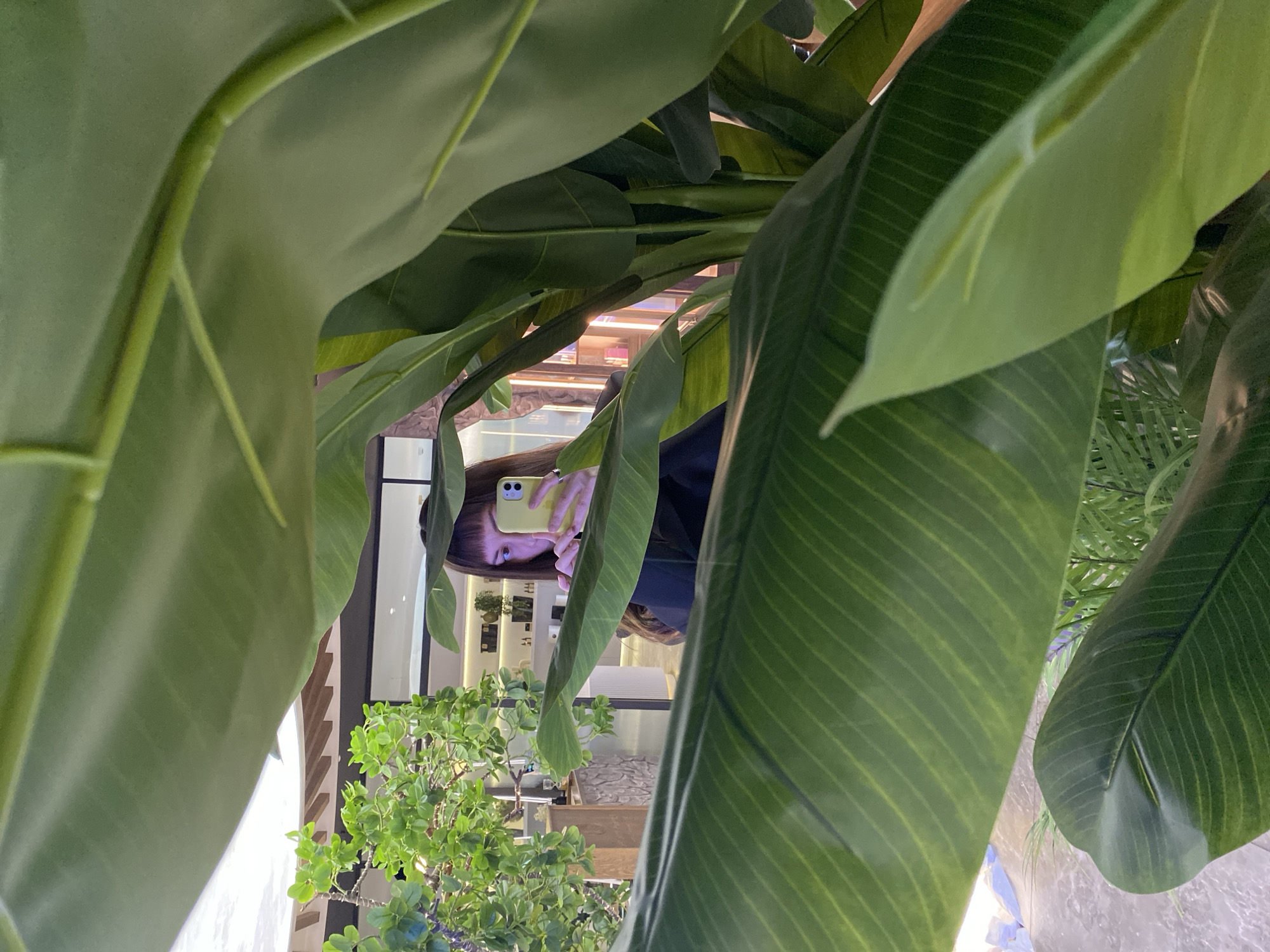 The image captures an indoor scene, viewed through a dense foreground of large, vibrant green leaves, likely artificial plants. The perspective creates a lush, almost tropical framing for the reflected interior beyond.
In the mid-ground, a reflection reveals a person, presumably a woman, with straight dark hair and bangs. She is holding a light yellow or lime green smartphone, seemingly taking a selfie or photographing the scene through the reflective surface (possibly a mirror or large window). Her upper face, including her eyes, is visible above the phone, which obscures her mouth. She wears a dark-colored top or jacket.
The background, also seen in reflection, shows a well-lit interior space. To the left of the person, there are smaller green plants with rounder leaves. Further back, white walls or display units are visible, along with shelves that hold various items, suggesting a retail space, cafe, or stylish lobby. Artificial overhead lighting fixtures are also discernible in the reflection, illuminating the area. The floor or a lower wall section appears to have a textured, possibly stone-like, gray finish.
The overall activity is the person documenting their presence in this plant-filled indoor environment in Votkinsk, Russia, using their smartphone. The time of day appears to be either daytime indoors or an evening with bright artificial lighting. No discernible text is visible on the phone or elsewhere in the reflection.