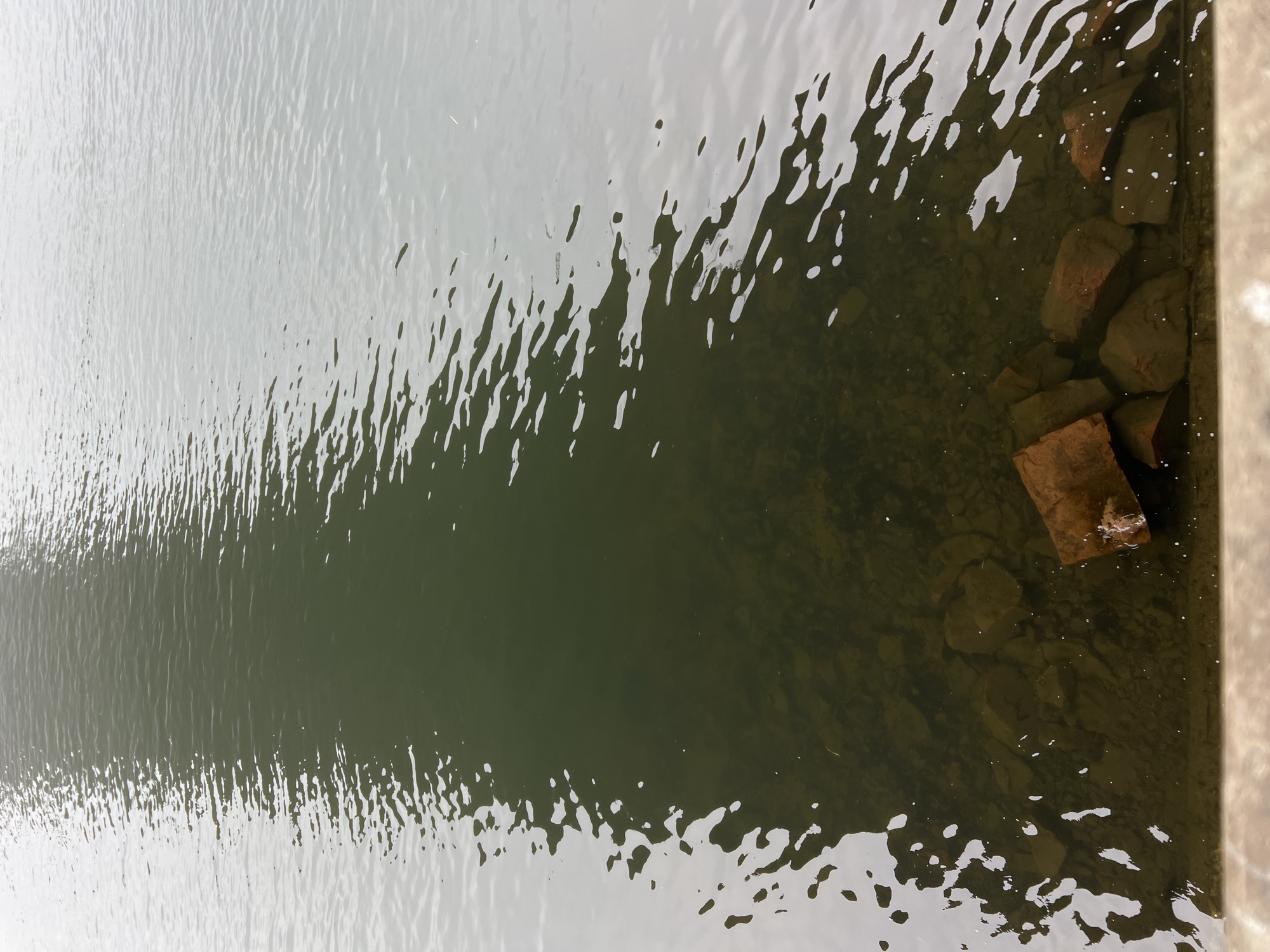 A reflective, dark green body of water with a rippling surface is shown. Several large, rough, reddish-brown rocks are submerged along the bottom edge of the frame, partially visible beneath the clear water. The water's surface reflects a lighter, indistinct shape that suggests a larger structure or landscape beyond the frame. The image appears to be taken from a slightly elevated perspective looking down towards the water. The location is not discernible from the image itself, and no specific geographic information about Krasnoyarsk, Russia, can be determined. There are no people or discernible actions depicted in the scene.
