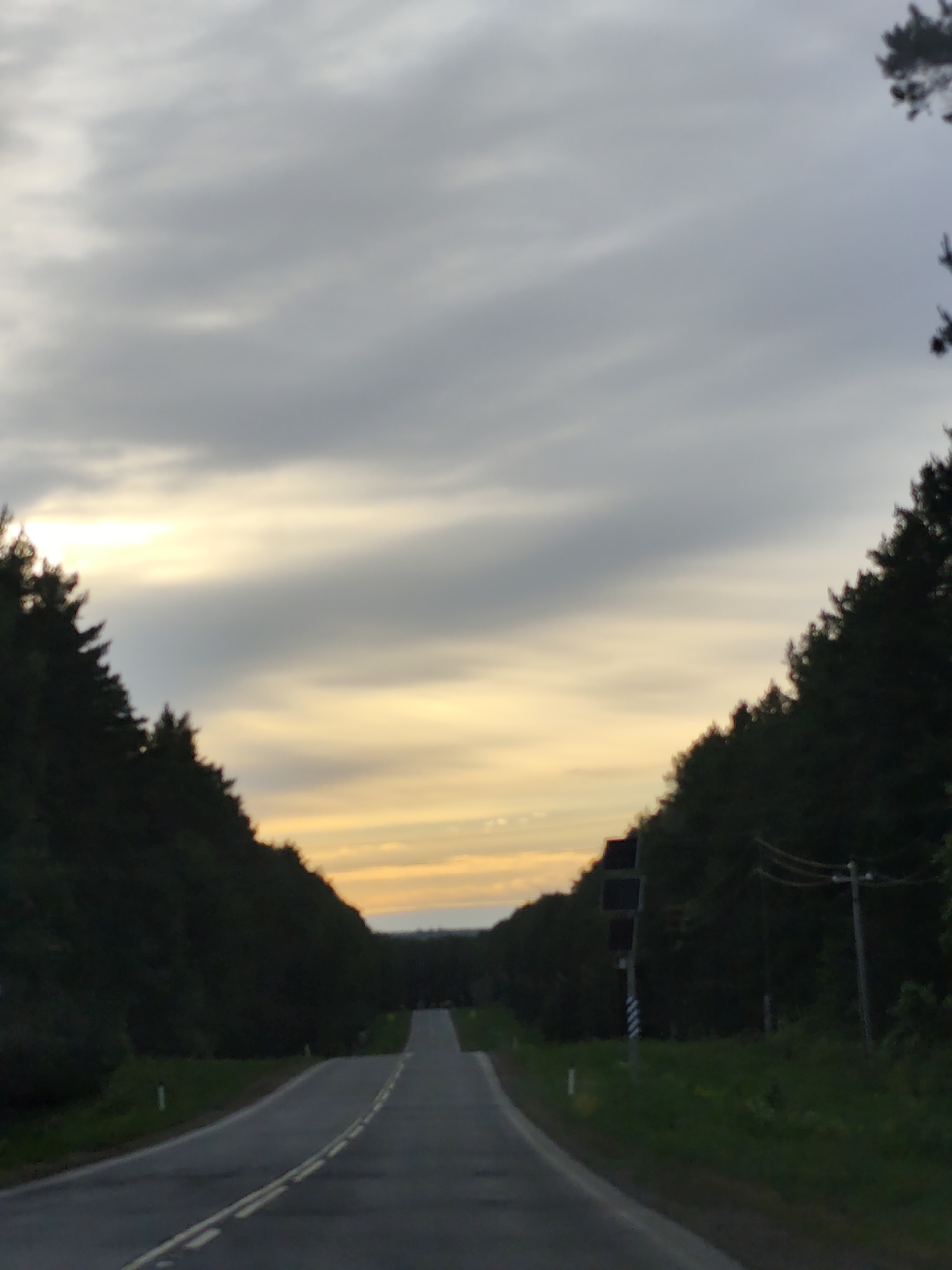 The image shows a road receding into the distance, flanked by trees on both sides. The road is paved and has a double yellow line down the center. On the right side of the road, there is a sign with alternating black and white stripes and a utility pole with wires. The sky is cloudy, with a hint of yellow light indicating either sunrise or sunset. The trees lining the road are dense and dark. Based on the location information, this scene is likely in a rural or forested area near Lukintsy, Russia. No people are visible in the image.