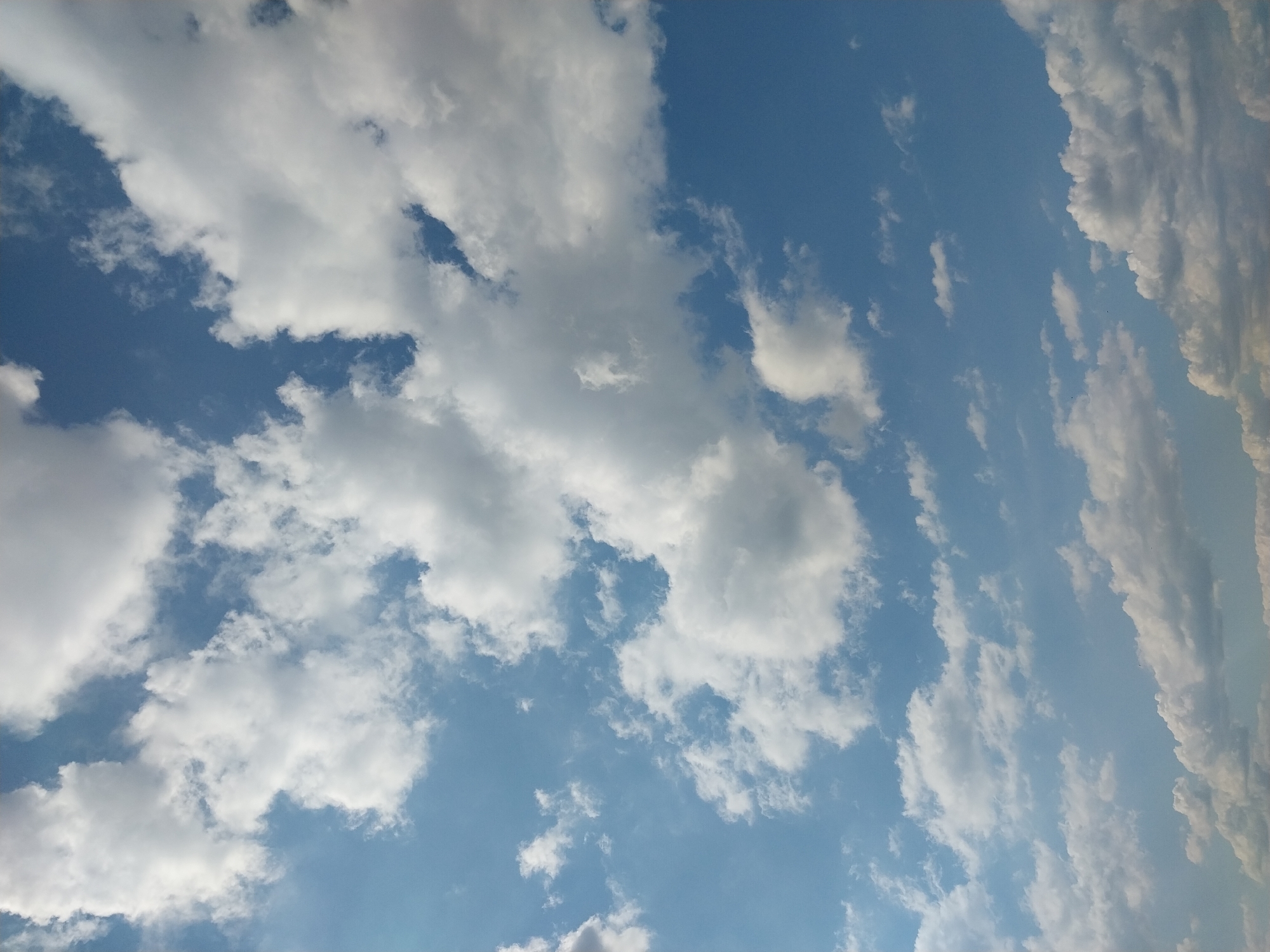 The image captures a bright blue sky filled with a variety of white, fluffy clouds, characteristic of a fair weather day. The clouds range from small, scattered puffs to larger, more dense formations. The lighting suggests it is daytime, possibly mid-morning or afternoon, with the sun illuminating the clouds from above, creating bright highlights and soft shadows. The image is a close-up shot of the sky, with no visible ground features or structures. The scene is static and serene, with no discernible activity. The location in Nizhneye Myachkovo, Russia, is implied but not visually represented in the image itself, which solely focuses on the sky.