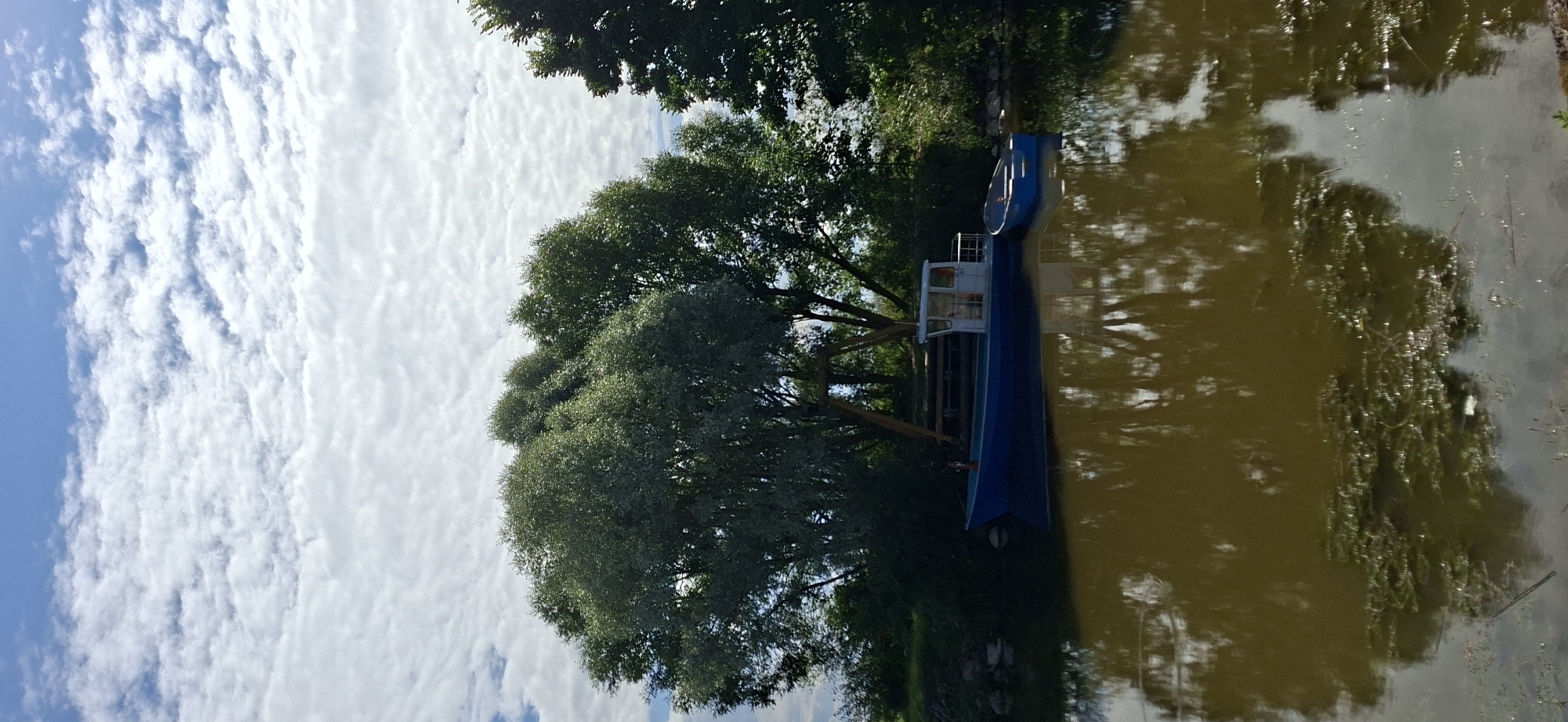 The image depicts a serene waterside scene under a partly cloudy sky. The foreground is dominated by a body of murky, brown water that reflects the surrounding environment. On the water, two boats are moored near the bank. The larger boat is blue with a white cabin structure. To its right, a smaller, blue dinghy is tied alongside.
The background features a lush, green shoreline with dense foliage and mature trees. A prominent, large tree with a wide canopy is centrally located, its branches casting shadows. Behind the boats, a wooden structure, possibly a swing set or a small platform, is visible amongst the trees. The sky above is a bright blue, interspersed with fluffy white clouds.
The image's composition and subject matter suggest a natural setting, likely a lake, river, or bay. Given that the image is from Valma, Estonia, this scene could be a view of a harbor, a secluded cove, or a peaceful spot along the coastline or a freshwater body within the region. The overall atmosphere is tranquil and natural.