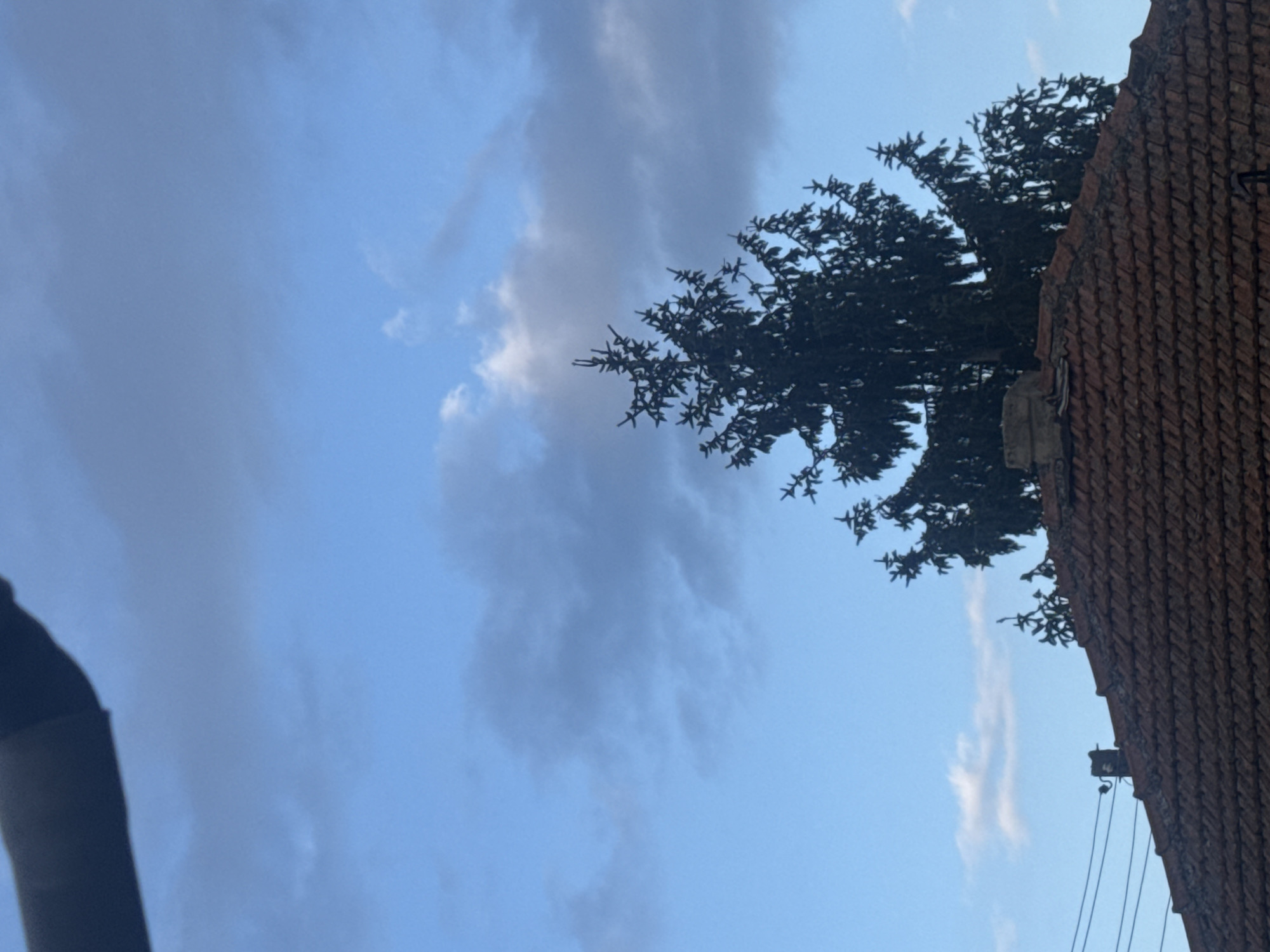 The image shows a view of the sky with clouds, a tree, and a building with a red-tiled roof. Electrical wires are also visible along the building. The location appears to be a residential area with trees. The time of day seems to be daytime, likely with overcast conditions due to the cloudy sky.