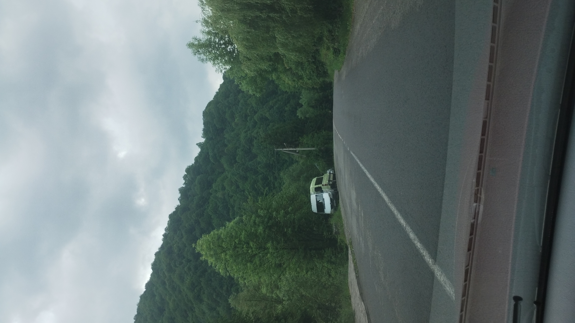 Captured from within a vehicle, the image reveals a roadside view in what is suggested to be Rakhiv, Ukraine. A two-lane road with a solid white center line runs vertically, flanked by dense, green vegetation ascending into a tree-covered hillside under an overcast sky. A light-colored van is parked partially off the road near the trees. A utility pole is visible amid the trees, suggesting the presence of infrastructure. The perspective indicates the photograph was taken through the vehicle's windshield.