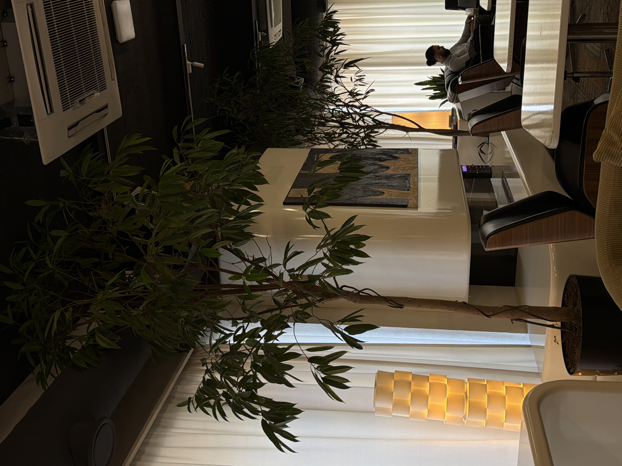 The image depicts an interior space in Yerevan, Armenia. A man is seated in a modern office chair at a white desk, his body turned away from the camera. There are trees, which appear to be either decorative or potted, adding a natural element to the scene. In the background, there is a white, translucent curtain allowing soft light to illuminate the interior. The room also contains an air conditioning unit mounted high on the wall, along with abstract artwork hanging on the wall. The floor is dark and appears to be carpeted. The furniture is contemporary, including black leather chairs with wooden armrests. A black console with a small display is present near the desk. The walls are light, likely painted white, and the overall impression is of a modern and functional office space.