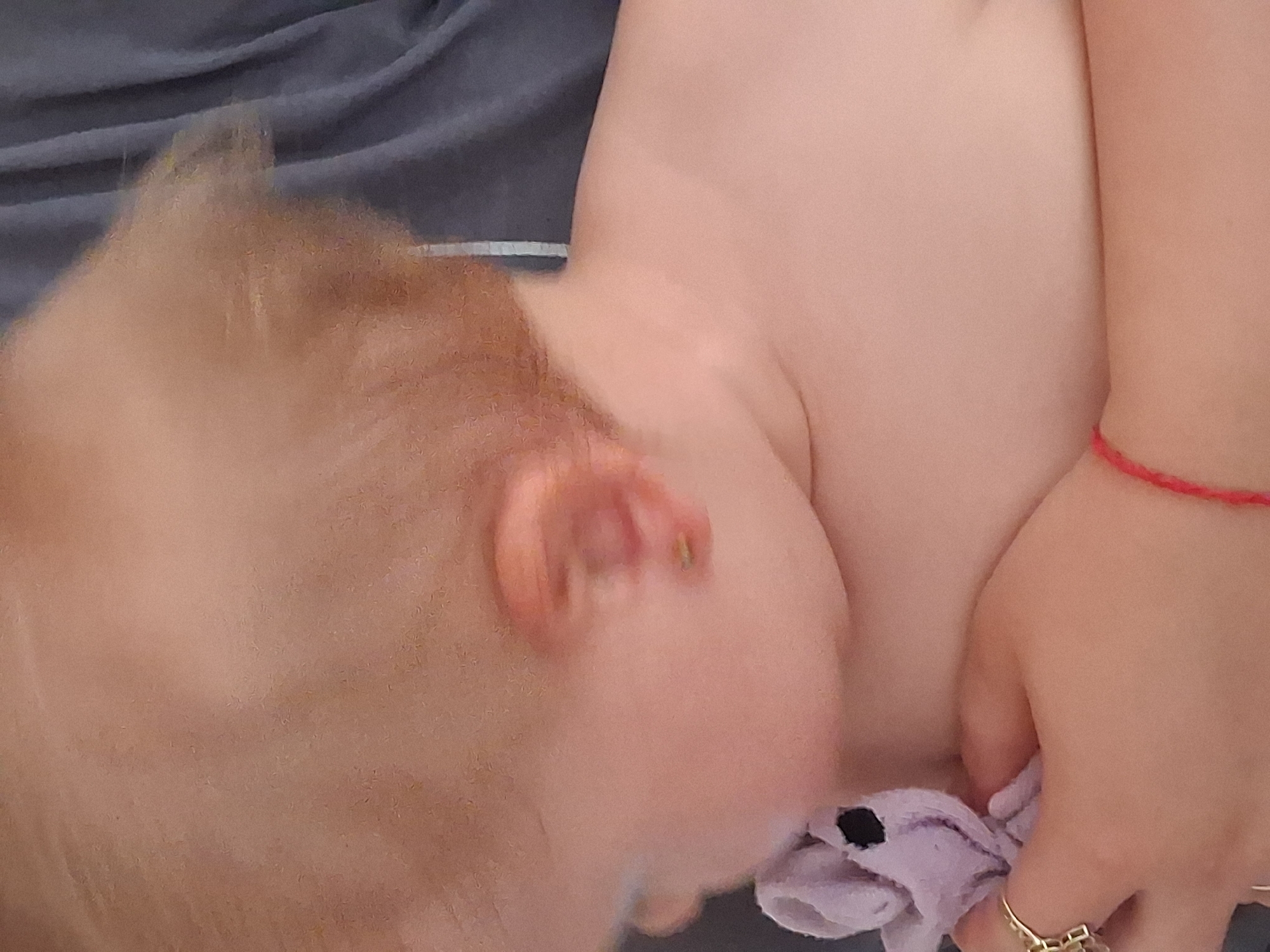 The image shows a close-up of a baby's head and shoulder. The baby has blonde hair and is wearing a small gold earring in its left ear. It is holding a small purple stuffed toy. The baby is wearing a gold ring on its right hand and a red string bracelet on its left wrist. The background appears to be a dark gray fabric, possibly clothing. There is no discernible information in the image that would indicate a location in Semey, Kazakhstan.