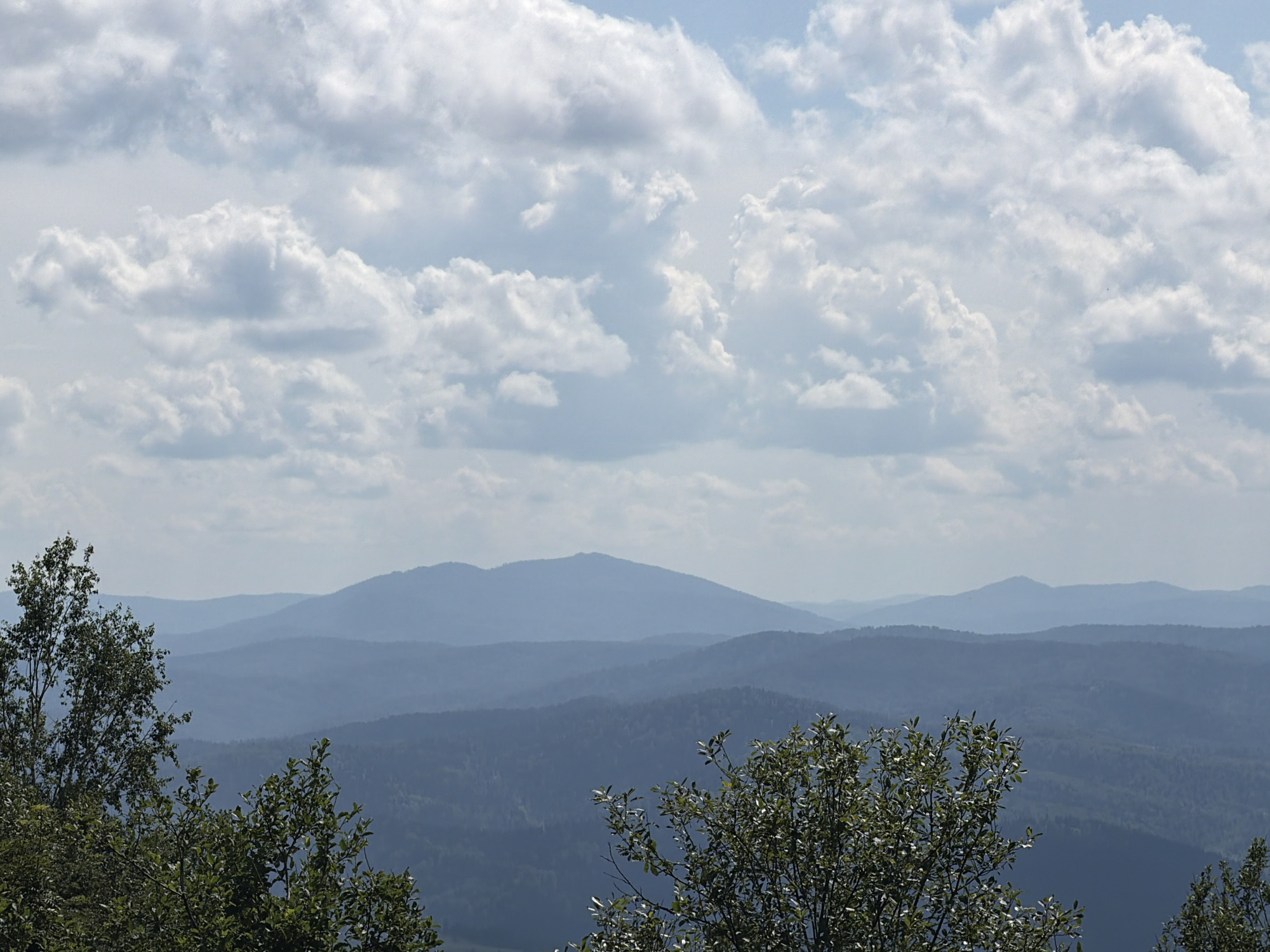 This image depicts a panoramic view of rolling blue-hued mountains under a sky filled with white, fluffy clouds. The foreground features the tops of green trees, with foliage obscuring parts of the mountain layers. The scene is a natural landscape, characteristic of the mountainous terrain around Tashtagol, Russia, known for its forested hills and expansive skies. No people, buildings, or specific actions are visible in the photograph. The overall impression is one of natural beauty and vastness.