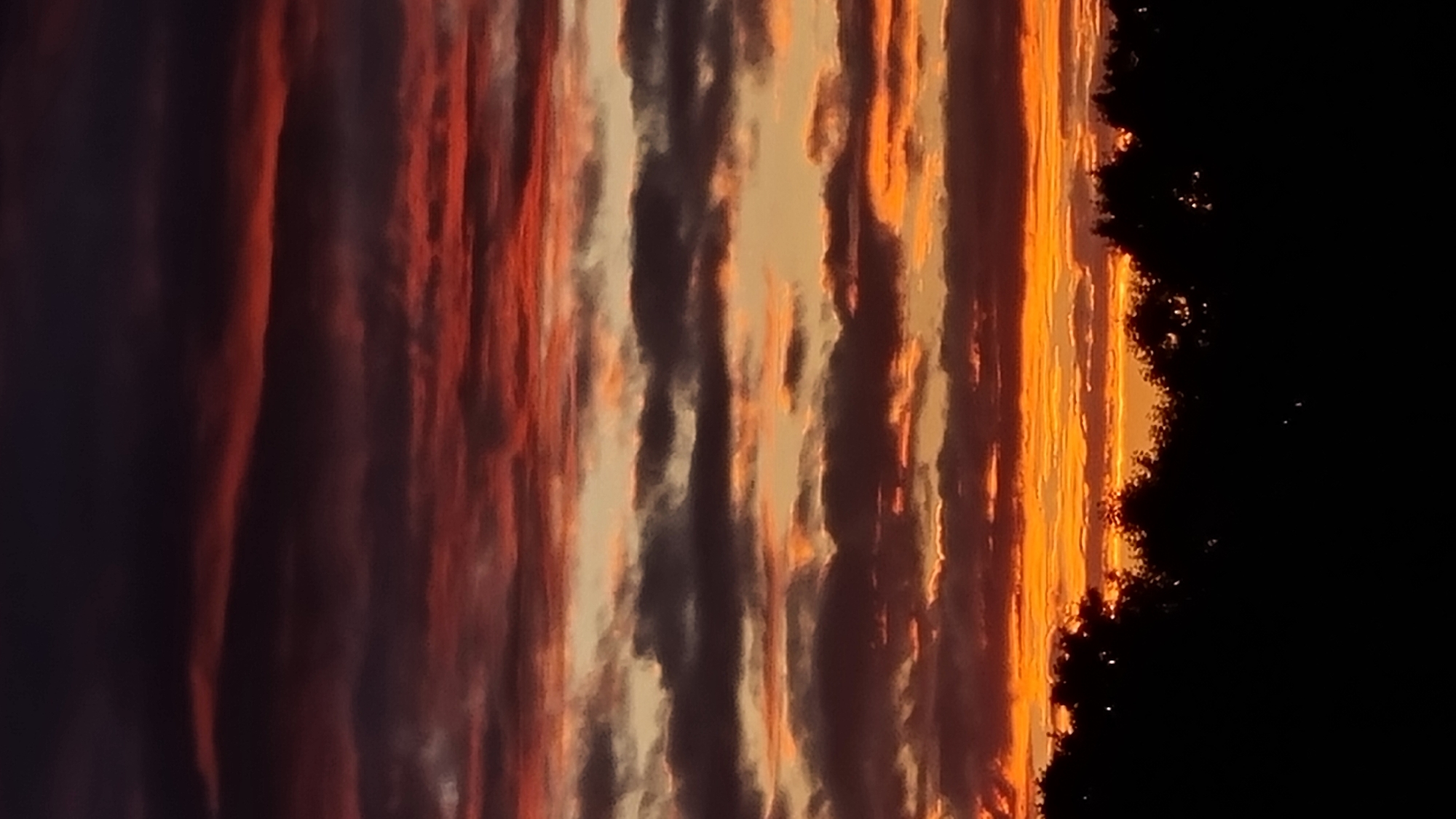 The image shows a dramatic sunset over Vysokoe, Russia. The sky is filled with streaks of dark purple, deep red, and vibrant orange clouds, creating a layered effect. The bottom of the image is dominated by the silhouetted treeline of what appears to be a forest or park. There are no people or man-made structures visible in the scene, emphasizing the natural beauty of the sky and landscape. The overall impression is one of a breathtaking and intense twilight.