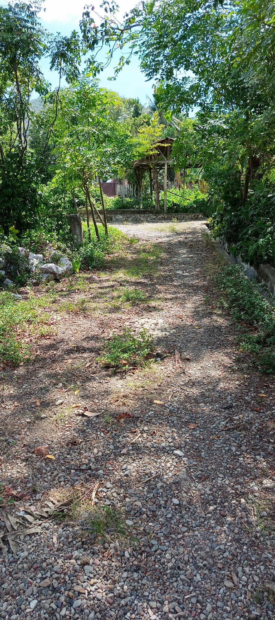 The image shows a partially shaded dirt and gravel path leading into a lush green area. The path is covered in small stones, with some patches of dry grass and fallen leaves. To the left of the path, there are large rocks and dense green foliage. Further down the path, a wooden structure with a thatched roof is visible, surrounded by trees and vegetation. The sky above is bright blue with some clouds. The overall scene suggests a natural, possibly rural or semi-rural environment, consistent with the outskirts of Pashiebeutong, Indonesia. There are no people or animals visible in the image.