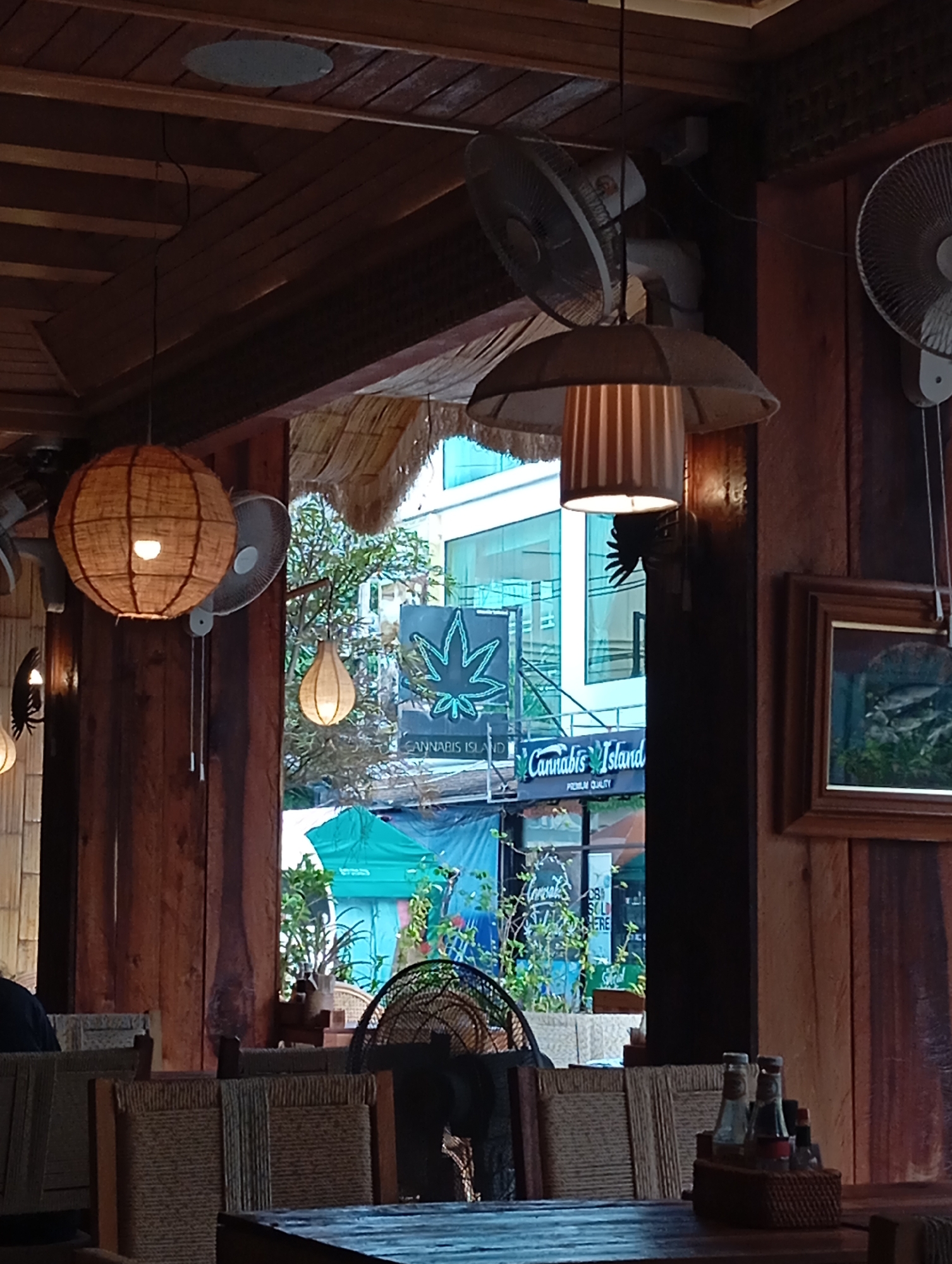 The image depicts the interior of a restaurant in Karon, Thailand, with a view through an open doorway or window to the street outside. The interior features warm wooden paneling on the walls and ceiling, with exposed wooden beams. Several ceiling fans are visible, as well as a large pendant light with a woven lampshade. In the foreground, there are chairs with woven seats and backs, and a table with condiments.
Through the opening, a street scene is visible with several signs, including one that reads "Cannabis Island" and features a cannabis leaf logo. A blue tarp or awning is also prominent. The exterior appears to be a commercial area with buildings and vegetation. One person is partially visible in the lower left corner, sitting at a table. The overall atmosphere suggests a casual dining establishment, possibly with a focus on cannabis-related products given the prominent signage.
