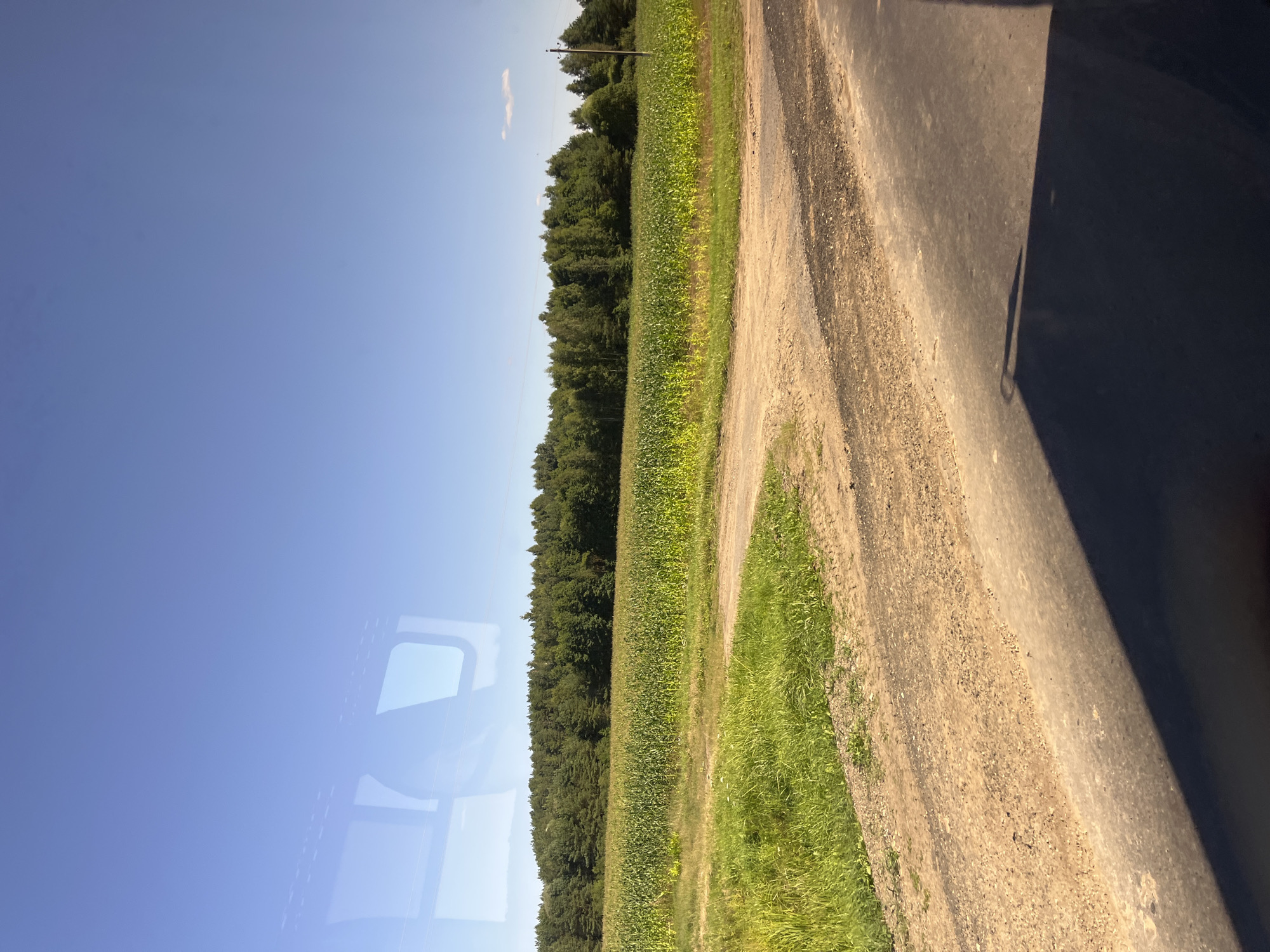 The image depicts a rural landscape under a clear blue sky, likely during daytime. In the foreground, a dirt road curves from the lower right to the middle left of the frame, intersecting with an asphalt road that runs along the bottom edge. Beyond the dirt road, a field of tall green crops, possibly corn, stretches towards a dense line of trees forming a forest. The trees are predominantly evergreen, creating a dark green backdrop against the sky. The reflection of a window with a visible frame can be seen in the upper left portion of the image, suggesting the photo was taken from inside a vehicle or building. A utility pole with wires stands to the right of the treeline, and a small, wispy cloud is visible in the sky. The overall impression is one of a sunny day in the Belarusian countryside.