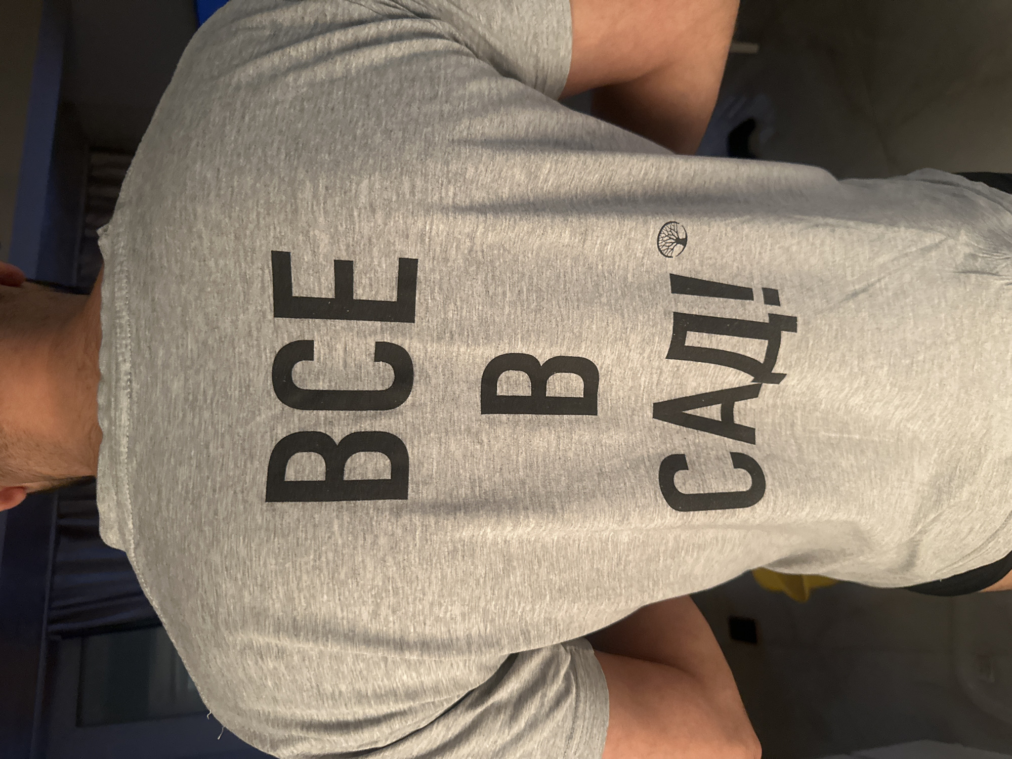 A person is wearing a gray t-shirt with black text that reads "ВСЕ В САД!". The text is in Cyrillic. The location is not specified and there is no indication in the image that the location is Moscow, Russia.