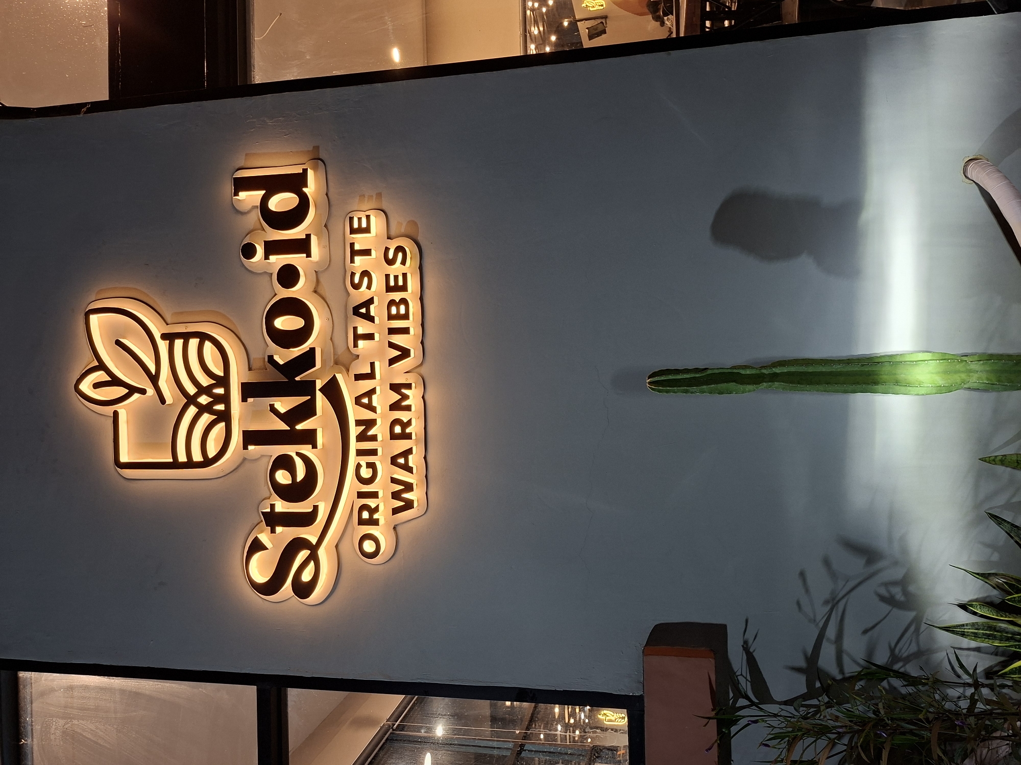 A vertical shot depicts a sign reading "Stekko.id ORIGINAL TASTE WARM VIBES" mounted on a building wall. The sign is illuminated with warm light, enhancing the letters and design. A long green cactus is positioned on the right side of the sign, casting a shadow on the wall. Lower right of the image shows plants with green leaves emerging from a brown planter. The scene is set in Lhokseumawe, Indonesia.