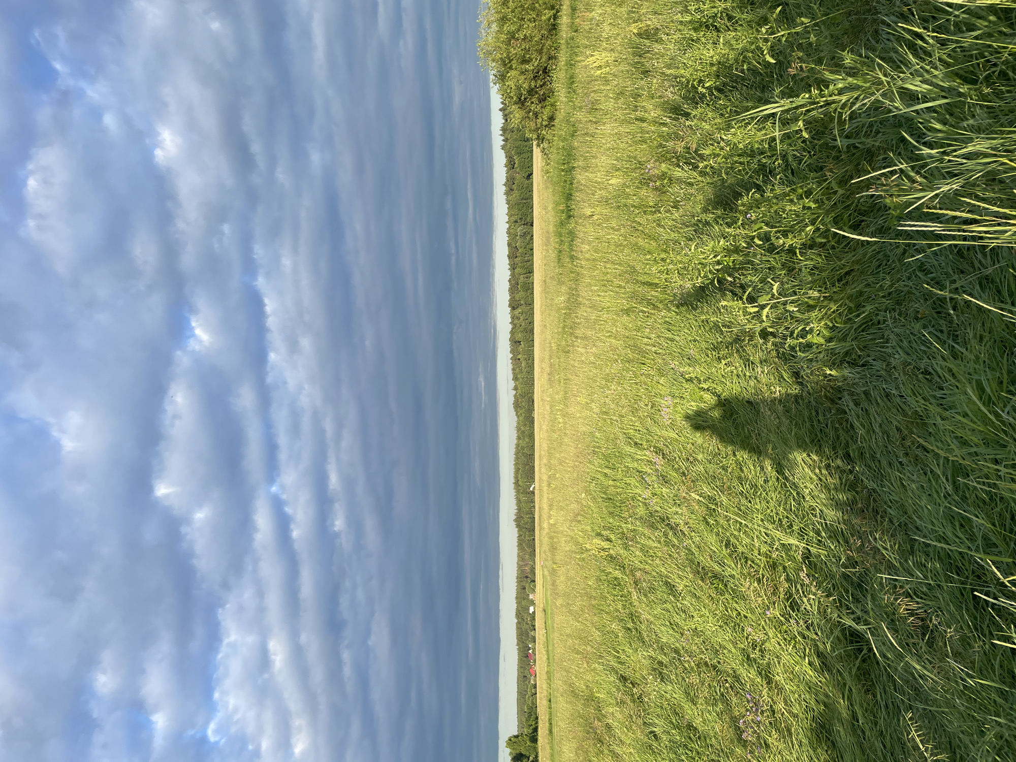 The image shows a vast, sun-drenched meadow in the village of Turovo, Russia, under a dramatic sky filled with heavy, grey clouds interspersed with patches of blue. The foreground is dominated by tall, green grass, swaying gently and casting long shadows. Two distinct human shadows are visible on the grass, suggesting the presence of at least two people. In the middle ground, a line of dense green trees stretches across the horizon, with a few scattered red-roofed buildings visible peeking through the foliage on the left side, indicative of a rural settlement. The overall impression is one of a serene, late afternoon scene in the Russian countryside.