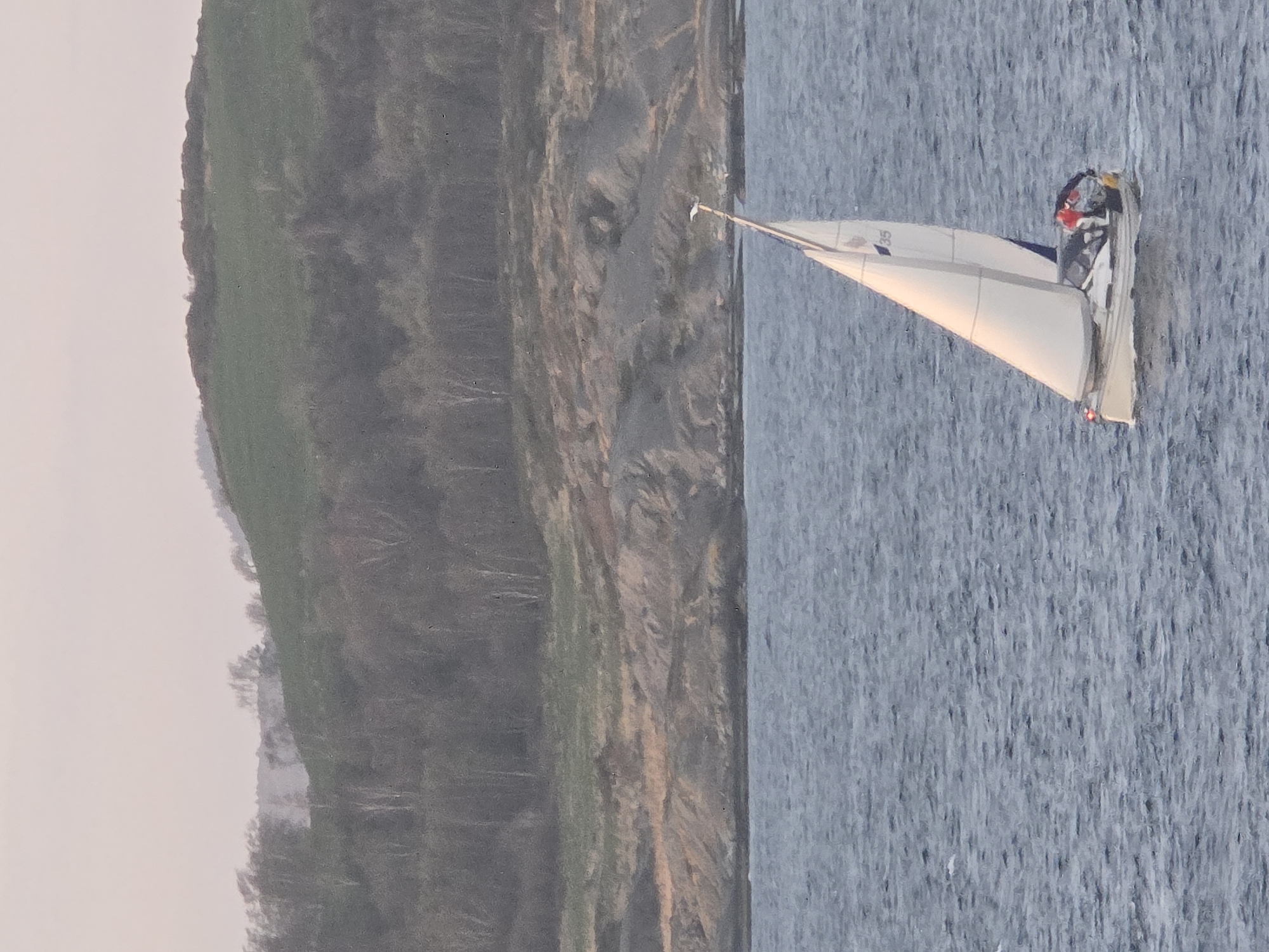 The image, oriented counter-clockwise, depicts a sailboat actively sailing on a body of water with a distinct shoreline in the background. If viewed upright, the sailboat would be on the right side of the frame, moving across the water, with land to its left.
The primary subject is a white sailboat featuring two sails: a main sail and a jib. The main sail clearly displays the numbers "95" in blue. At least one person, wearing what appears to be red and yellow gear, is visible in the cockpit area of the boat. A small, white pennant or flag is affixed to the top of the mast, and a faint red object or light can be seen on the stern.
The scene is set on calm, rippled water, suggesting a gentle breeze suitable for sailing. To the left, a landmass rises, appearing as a combination of green, grassy slopes and darker, possibly rugged or forested terrain. The far left of the frame shows a light, hazy expanse, likely the sky or a distant, muted horizon. The lighting is soft and diffused, characteristic of either early morning or late afternoon, contributing to a serene atmosphere. There are no identifiable structures to indicate a specific location.