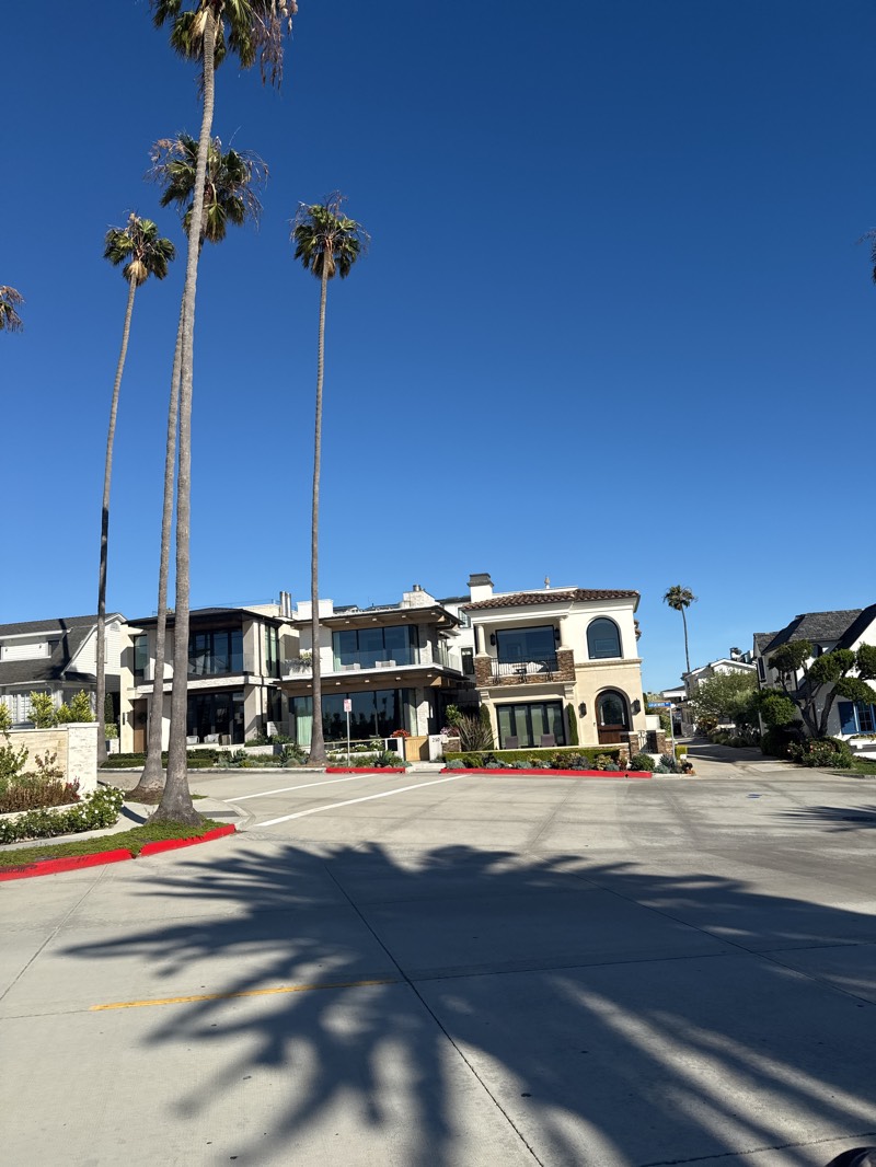 The image shows a street scene in Newport Beach, California, United States. Several tall palm trees are visible in the foreground and to the left of the frame, casting shadows on the asphalt street. On the right side of the image, there are three luxury homes. The sky is clear and blue. The curb is painted red.