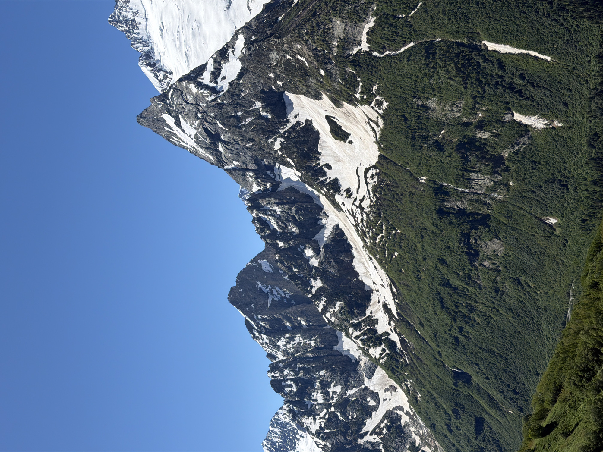 The image depicts a mountainous landscape under a clear blue sky. The foreground is dominated by a densely forested green slope that rises towards the middle ground. Above the tree line, the mountain slopes are covered with patches of snow and exposed dark rock. The peaks are jagged and sharp, with significant snow accumulation on the higher elevations. One prominent peak in the mid-right of the frame is particularly striking, with a steep, snow-covered face and a rocky summit. The overall scene conveys a sense of vastness and natural grandeur, characteristic of high-altitude mountainous regions. The location is in Верхне-Тебердинское сельское поселение, Russia, a region known for its mountainous terrain. No people or man-made structures are visible in the image.