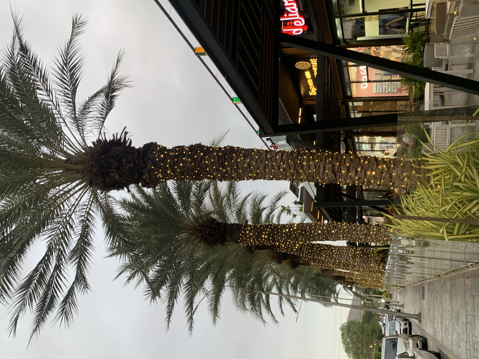 This image captures an outdoor scene along a street or promenade in Pampatar, Venezuela. The central focus is a row of tall palm trees, their trunks extensively wrapped with strings of small, warm yellow lights, creating a festive and inviting atmosphere. The lush green fronds of these palm trees are visible against an overcast, bright sky.
To the right, a modern commercial building with dark structural beams and large glass windows reflects elements of the surroundings and reveals glimpses of its interior, where blurred figures and seating can be seen. On the building's facade, a prominent red neon sign, partially cropped, appears to read "deliar's" or similar, with the word "SHAWARMA" clearly displayed beneath it. Another yellow sign below offers "PASTELITOS, EMPANADAS." Inside the building, a red sign resembling "Roca" is also visible.
A paved pedestrian area, adorned with low-growing green and yellow-striped plants, runs parallel to the palm trees and building. Beyond this, a street with several parked and moving cars extends into the distance. Faint outlines of hills or mountains can be seen in the background under the muted sky.
The scene appears to be set at dusk or during a heavily overcast day, as the sky is bright but subdued, necessitating the illumination of the decorative lights on the palm trees. No specific event or prominent activity is taking place, but the illuminated trees contribute to a pleasant ambiance.