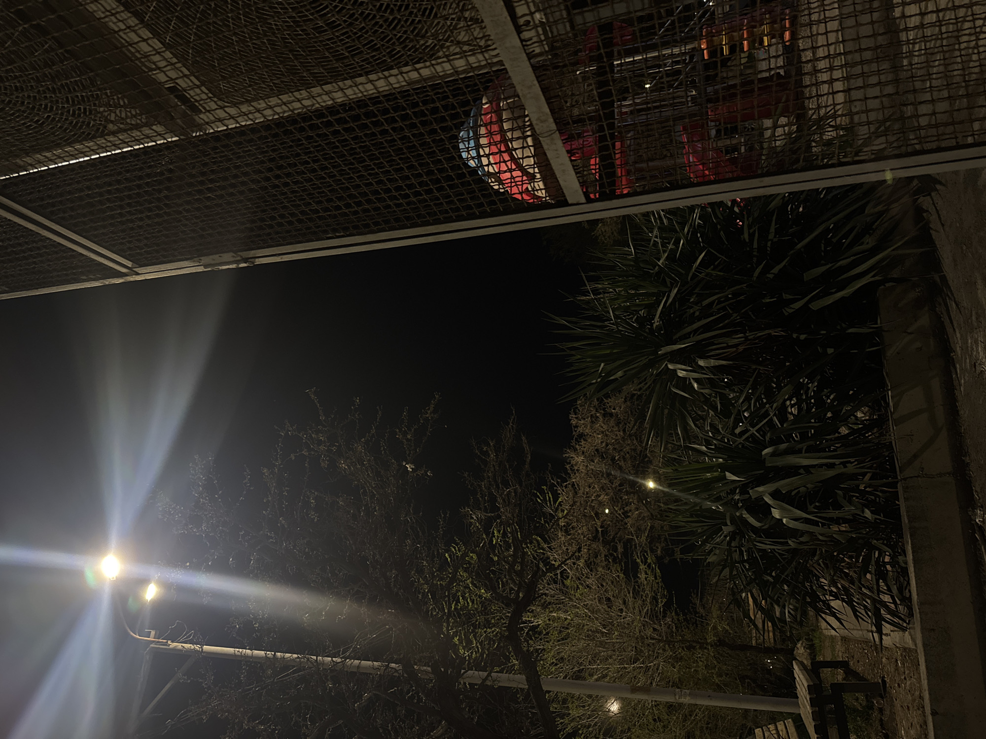 The image shows a nighttime scene in Yerevan, Armenia. The perspective is looking up from underneath a metal grid structure. Above the grid, blurred red and blue objects are visible. The background features trees and a street lamp, with its light strongly diffused. To the right, there is a large spiky plant near a concrete wall. The scene is dark, with light sources primarily from the street lamp and faint lights scattered in the trees.