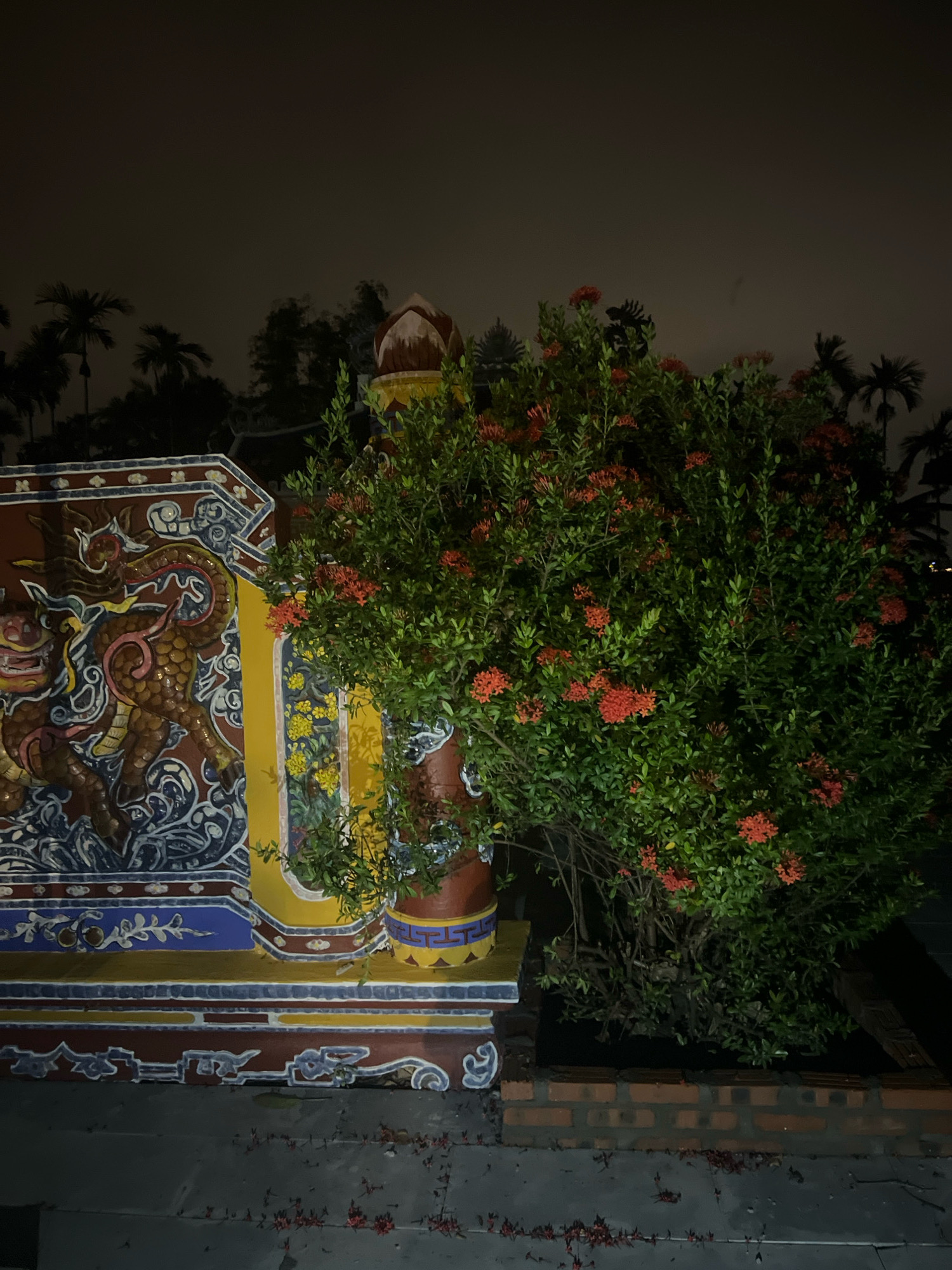 The image depicts a nighttime scene in Hoi An, Vietnam, featuring a richly decorated wall adorned with intricate ceramic art. A dragon motif is prominently displayed on the left side of the wall, rendered in warm earth tones with accents of blue and white. To the right of the wall, a lush green bush with small red flowers is situated, its branches reaching towards the illuminated artwork. The surrounding environment appears to be an outdoor setting, possibly a garden or courtyard, with the dark sky and the silhouettes of palm trees visible in the background. The ground in the foreground is a paved surface, with scattered red flower petals suggesting recent blooming or shedding. The lighting creates a dramatic effect, highlighting the details of the wall and the plant against the dark backdrop.